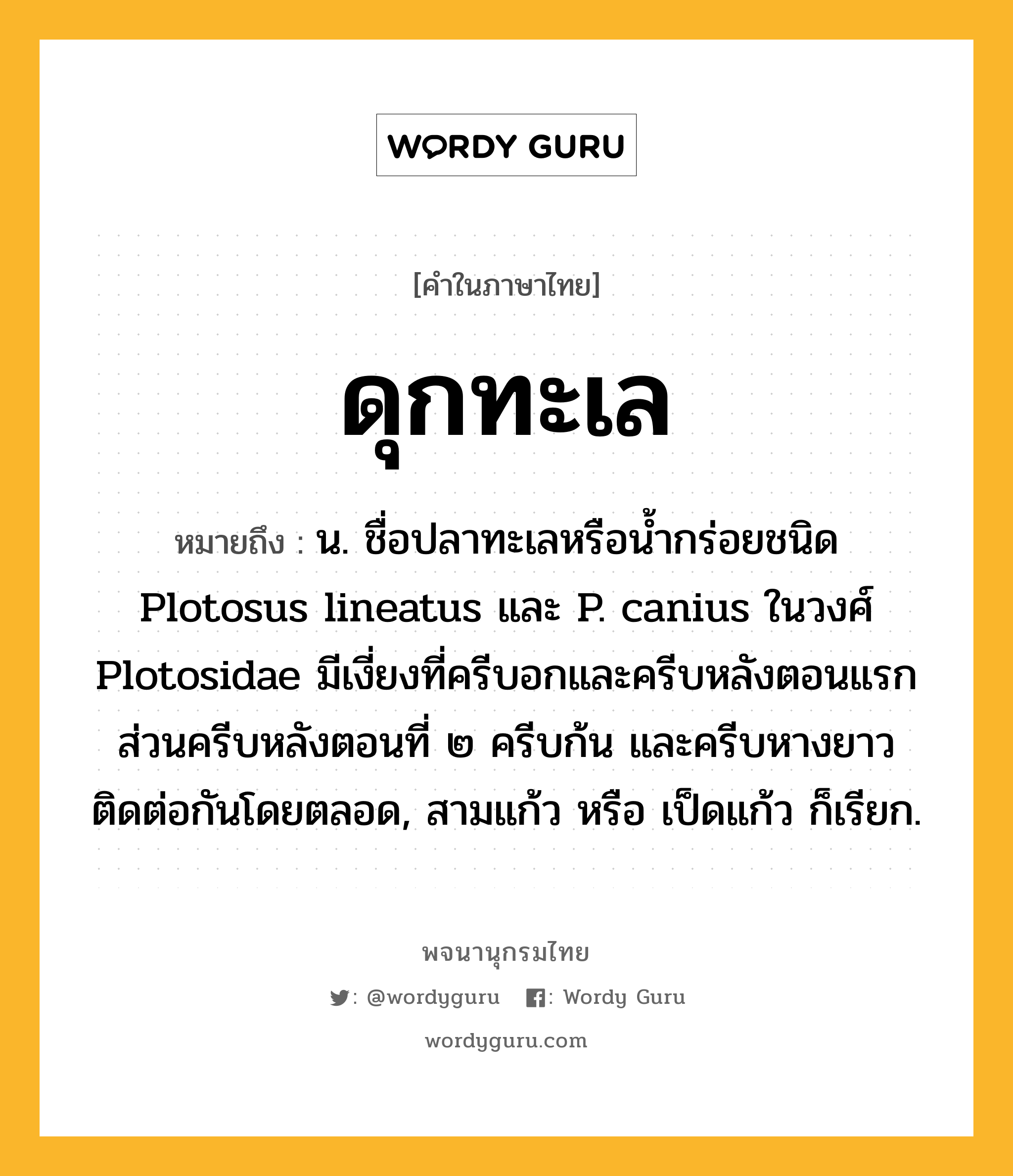 ดุกทะเล หมายถึงอะไร?, คำในภาษาไทย ดุกทะเล หมายถึง น. ชื่อปลาทะเลหรือนํ้ากร่อยชนิด Plotosus lineatus และ P. canius ในวงศ์ Plotosidae มีเงี่ยงที่ครีบอกและครีบหลังตอนแรก ส่วนครีบหลังตอนที่ ๒ ครีบก้น และครีบหางยาวติดต่อกันโดยตลอด, สามแก้ว หรือ เป็ดแก้ว ก็เรียก.