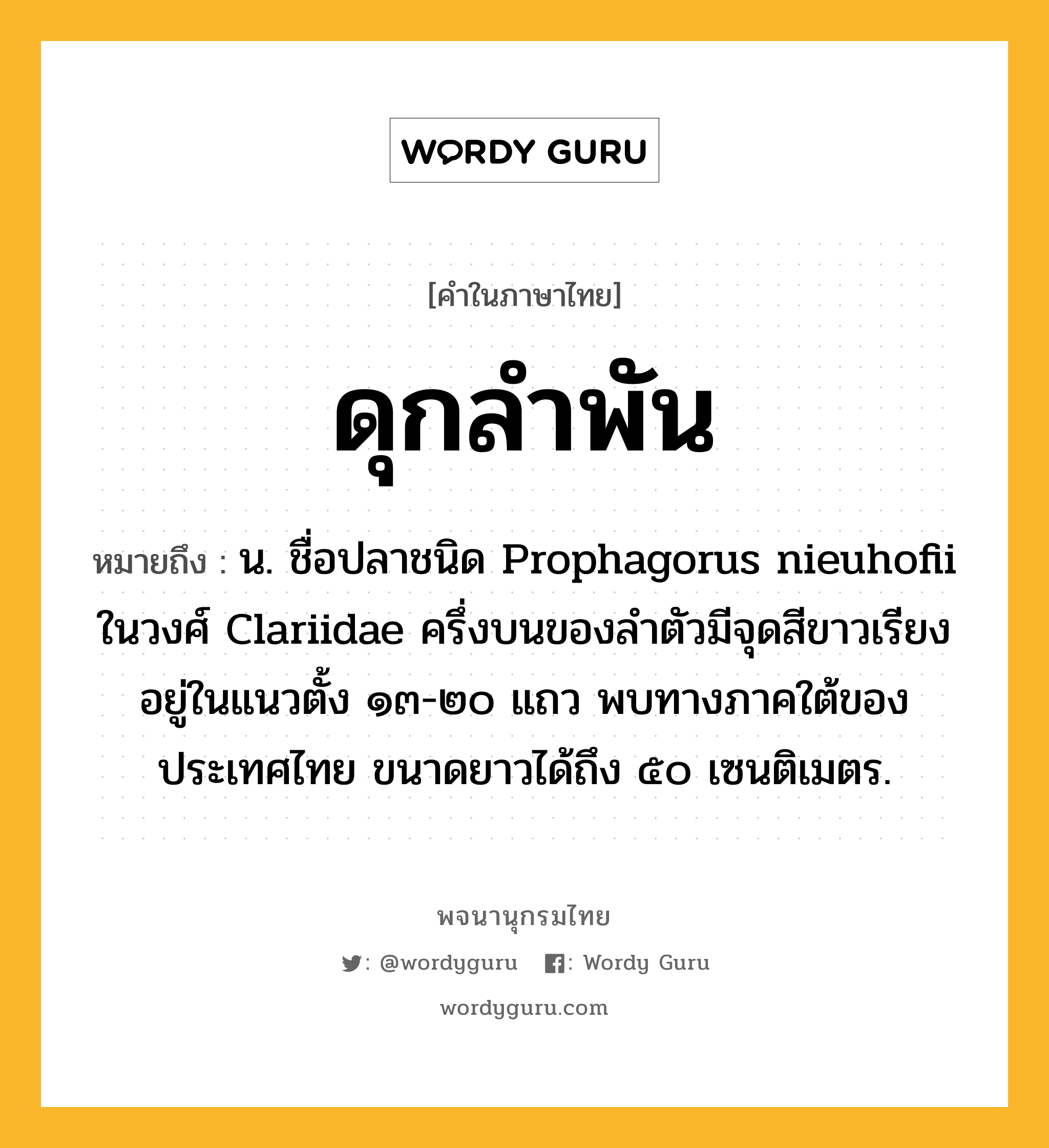 ดุกลำพัน หมายถึงอะไร?, คำในภาษาไทย ดุกลำพัน หมายถึง น. ชื่อปลาชนิด Prophagorus nieuhofii ในวงศ์ Clariidae ครึ่งบนของลําตัวมีจุดสีขาวเรียงอยู่ในแนวตั้ง ๑๓-๒๐ แถว พบทางภาคใต้ของประเทศไทย ขนาดยาวได้ถึง ๕๐ เซนติเมตร.