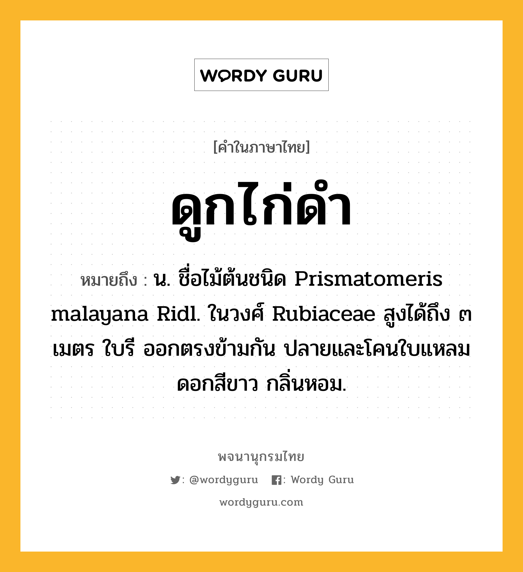 ดูกไก่ดำ ความหมาย หมายถึงอะไร?, คำในภาษาไทย ดูกไก่ดำ หมายถึง น. ชื่อไม้ต้นชนิด Prismatomeris malayana Ridl. ในวงศ์ Rubiaceae สูงได้ถึง ๓ เมตร ใบรี ออกตรงข้ามกัน ปลายและโคนใบแหลม ดอกสีขาว กลิ่นหอม.