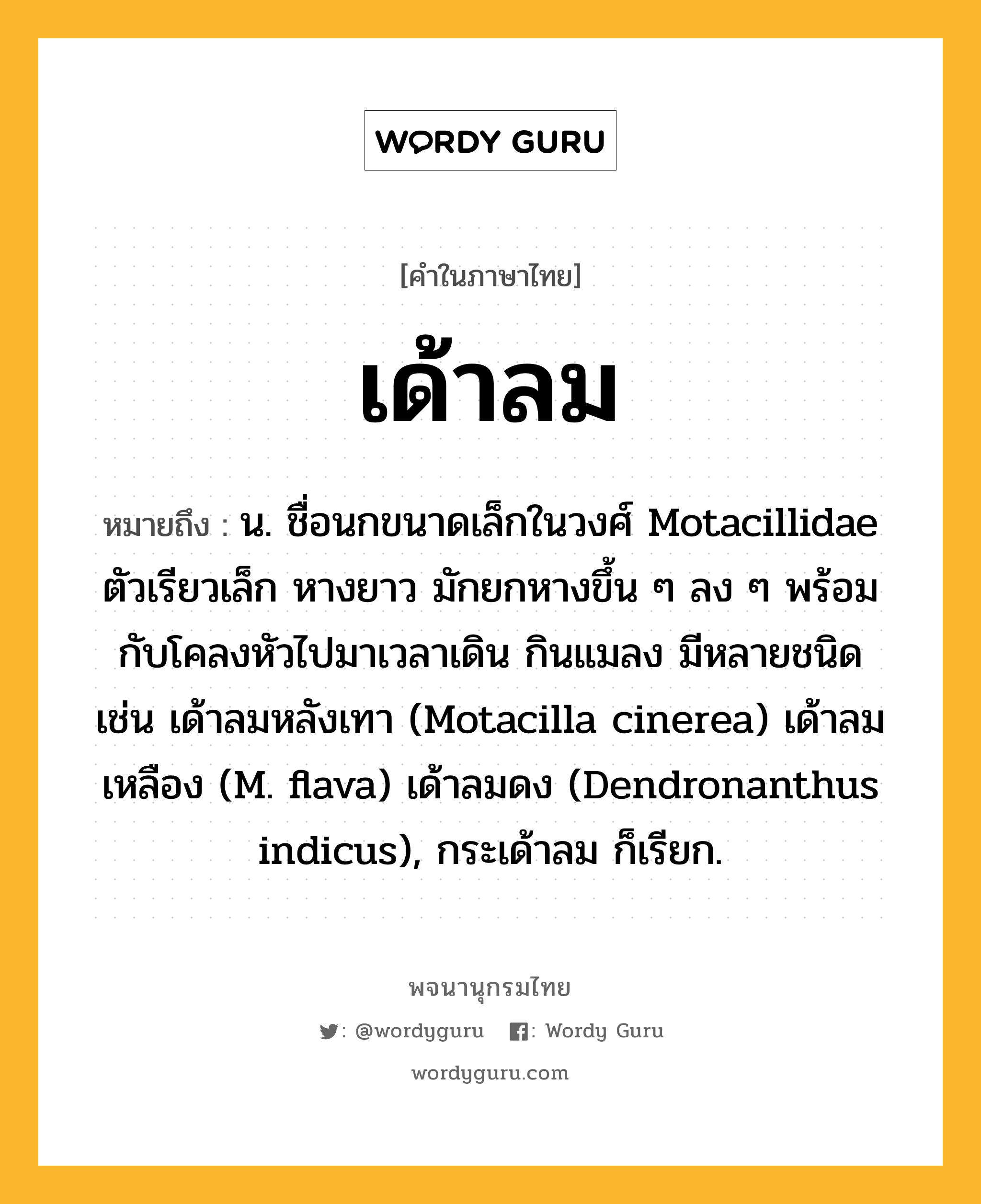 เด้าลม หมายถึงอะไร?, คำในภาษาไทย เด้าลม หมายถึง น. ชื่อนกขนาดเล็กในวงศ์ Motacillidae ตัวเรียวเล็ก หางยาว มักยกหางขึ้น ๆ ลง ๆ พร้อมกับโคลงหัวไปมาเวลาเดิน กินแมลง มีหลายชนิด เช่น เด้าลมหลังเทา (Motacilla cinerea) เด้าลมเหลือง (M. flava) เด้าลมดง (Dendronanthus indicus), กระเด้าลม ก็เรียก.