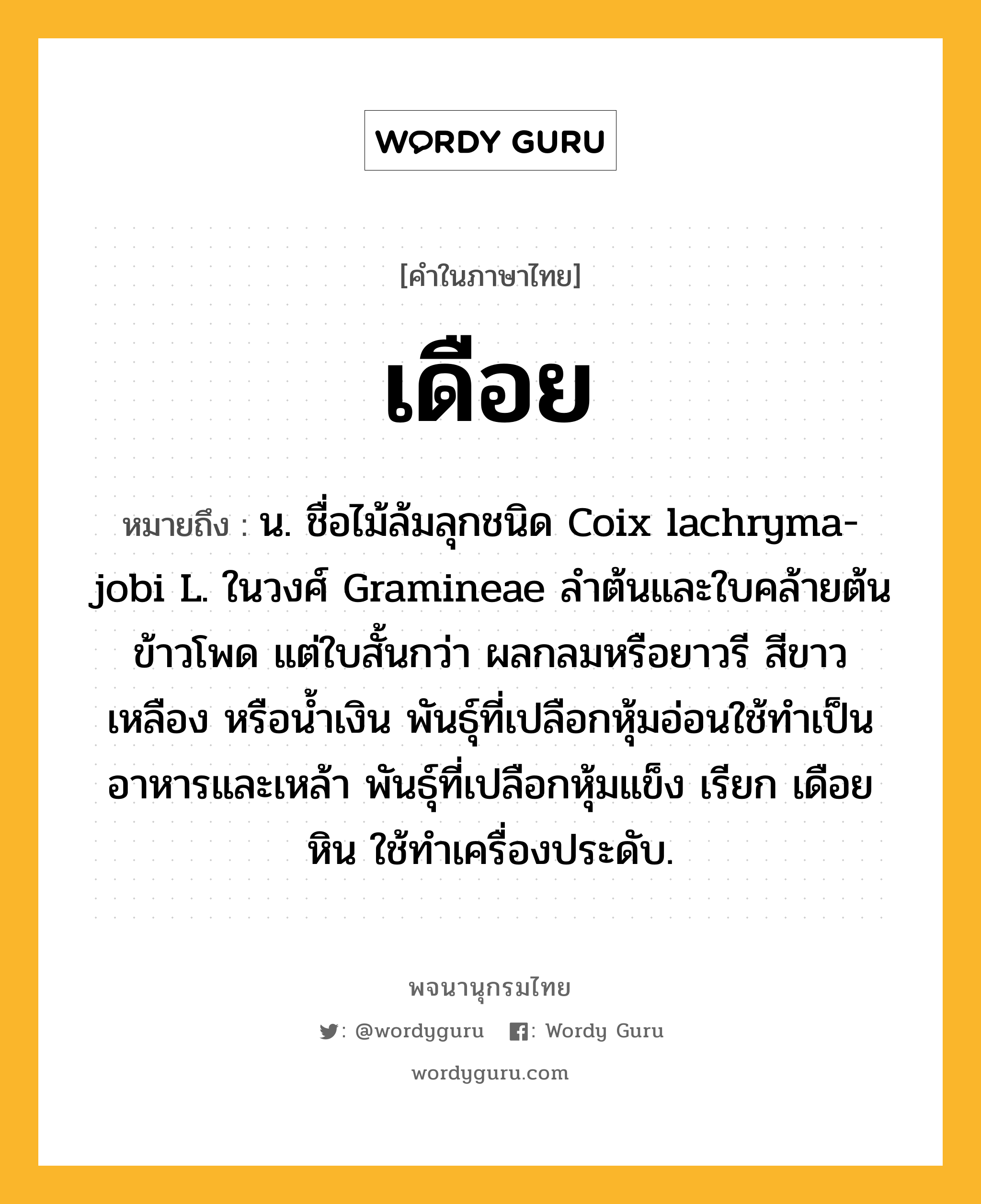 เดือย หมายถึงอะไร?, คำในภาษาไทย เดือย หมายถึง น. ชื่อไม้ล้มลุกชนิด Coix lachryma-jobi L. ในวงศ์ Gramineae ลําต้นและใบคล้ายต้นข้าวโพด แต่ใบสั้นกว่า ผลกลมหรือยาวรี สีขาว เหลือง หรือนํ้าเงิน พันธุ์ที่เปลือกหุ้มอ่อนใช้ทําเป็นอาหารและเหล้า พันธุ์ที่เปลือกหุ้มแข็ง เรียก เดือยหิน ใช้ทําเครื่องประดับ.