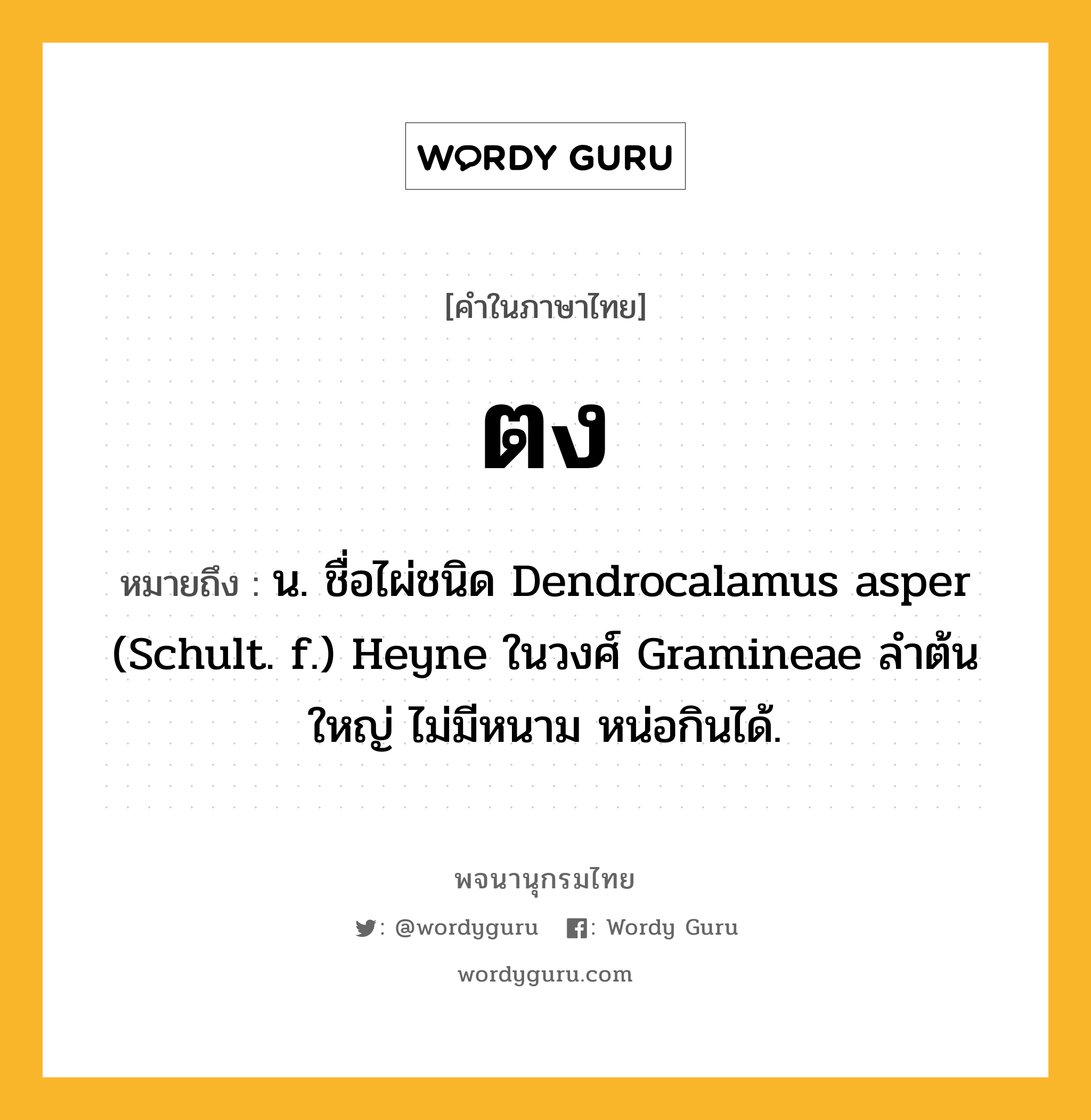 ตง หมายถึงอะไร?, คำในภาษาไทย ตง หมายถึง น. ชื่อไผ่ชนิด Dendrocalamus asper (Schult. f.) Heyne ในวงศ์ Gramineae ลําต้นใหญ่ ไม่มีหนาม หน่อกินได้.