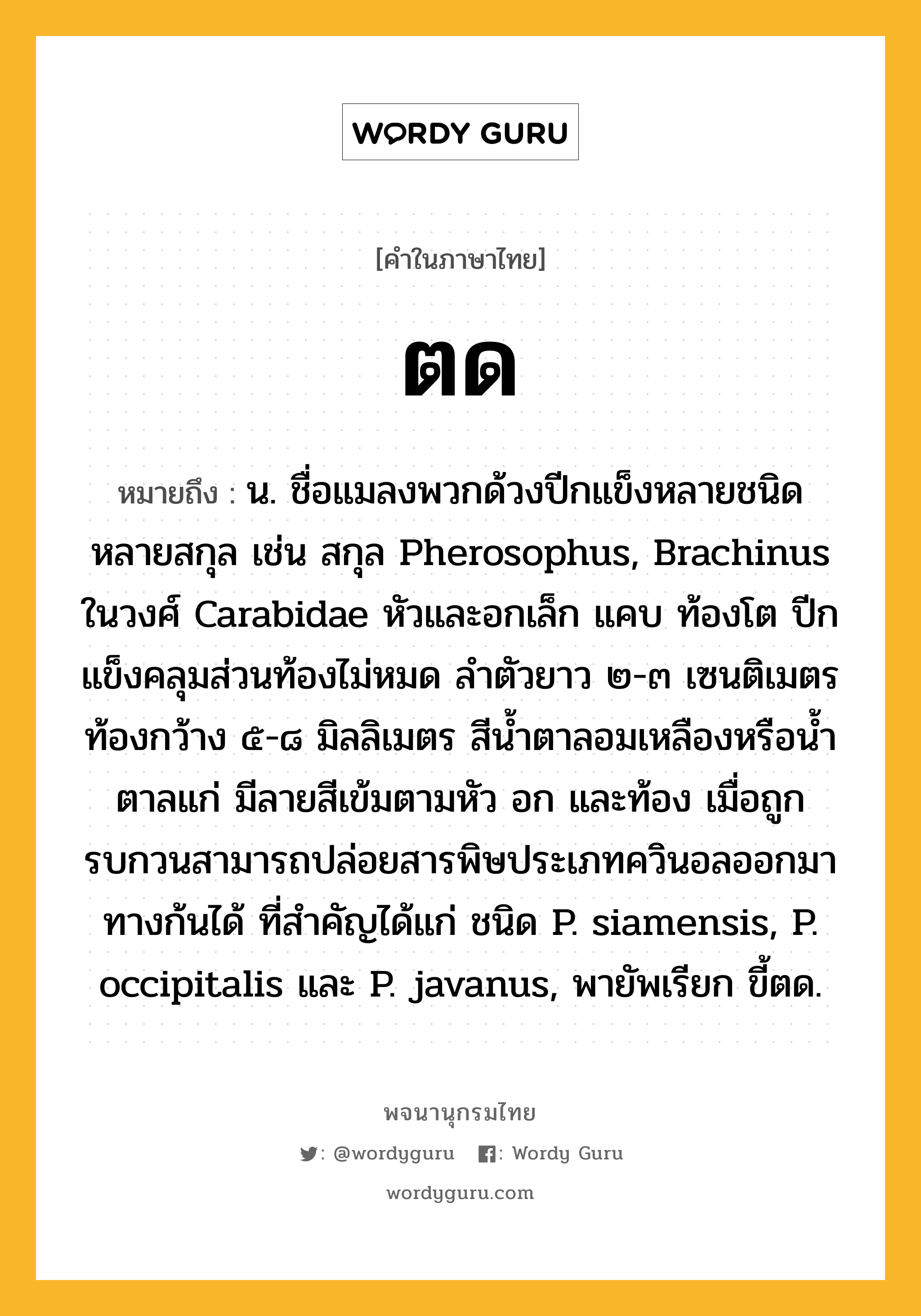 ตด หมายถึงอะไร?, คำในภาษาไทย ตด หมายถึง น. ชื่อแมลงพวกด้วงปีกแข็งหลายชนิดหลายสกุล เช่น สกุล Pherosophus, Brachinus ในวงศ์ Carabidae หัวและอกเล็ก แคบ ท้องโต ปีกแข็งคลุมส่วนท้องไม่หมด ลําตัวยาว ๒-๓ เซนติเมตร ท้องกว้าง ๕-๘ มิลลิเมตร สีนํ้าตาลอมเหลืองหรือนํ้าตาลแก่ มีลายสีเข้มตามหัว อก และท้อง เมื่อถูกรบกวนสามารถปล่อยสารพิษประเภทควินอลออกมาทางก้นได้ ที่สําคัญได้แก่ ชนิด P. siamensis, P. occipitalis และ P. javanus, พายัพเรียก ขี้ตด.