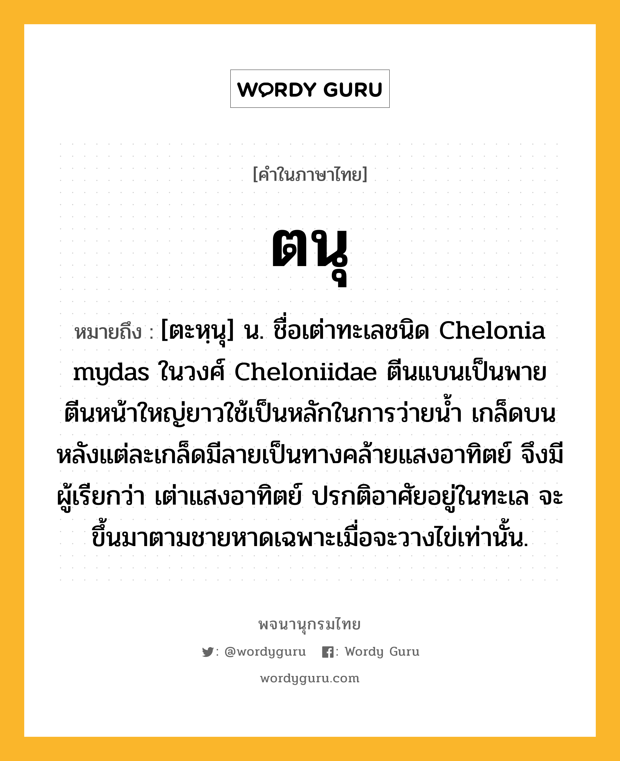 ตนุ หมายถึงอะไร?, คำในภาษาไทย ตนุ หมายถึง [ตะหฺนุ] น. ชื่อเต่าทะเลชนิด Chelonia mydas ในวงศ์ Cheloniidae ตีนแบนเป็นพาย ตีนหน้าใหญ่ยาวใช้เป็นหลักในการว่ายนํ้า เกล็ดบนหลังแต่ละเกล็ดมีลายเป็นทางคล้ายแสงอาทิตย์ จึงมีผู้เรียกว่า เต่าแสงอาทิตย์ ปรกติอาศัยอยู่ในทะเล จะขึ้นมาตามชายหาดเฉพาะเมื่อจะวางไข่เท่านั้น.