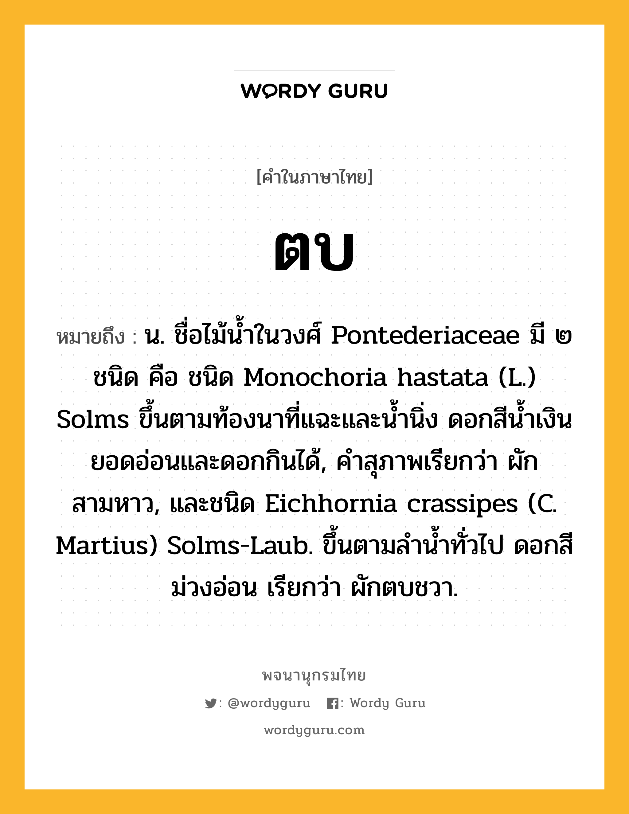 ตบ หมายถึงอะไร?, คำในภาษาไทย ตบ หมายถึง น. ชื่อไม้นํ้าในวงศ์ Pontederiaceae มี ๒ ชนิด คือ ชนิด Monochoria hastata (L.) Solms ขึ้นตามท้องนาที่แฉะและนํ้านิ่ง ดอกสีนํ้าเงิน ยอดอ่อนและดอกกินได้, คำสุภาพเรียกว่า ผักสามหาว, และชนิด Eichhornia crassipes (C. Martius) Solms-Laub. ขึ้นตามลํานํ้าทั่วไป ดอกสีม่วงอ่อน เรียกว่า ผักตบชวา.