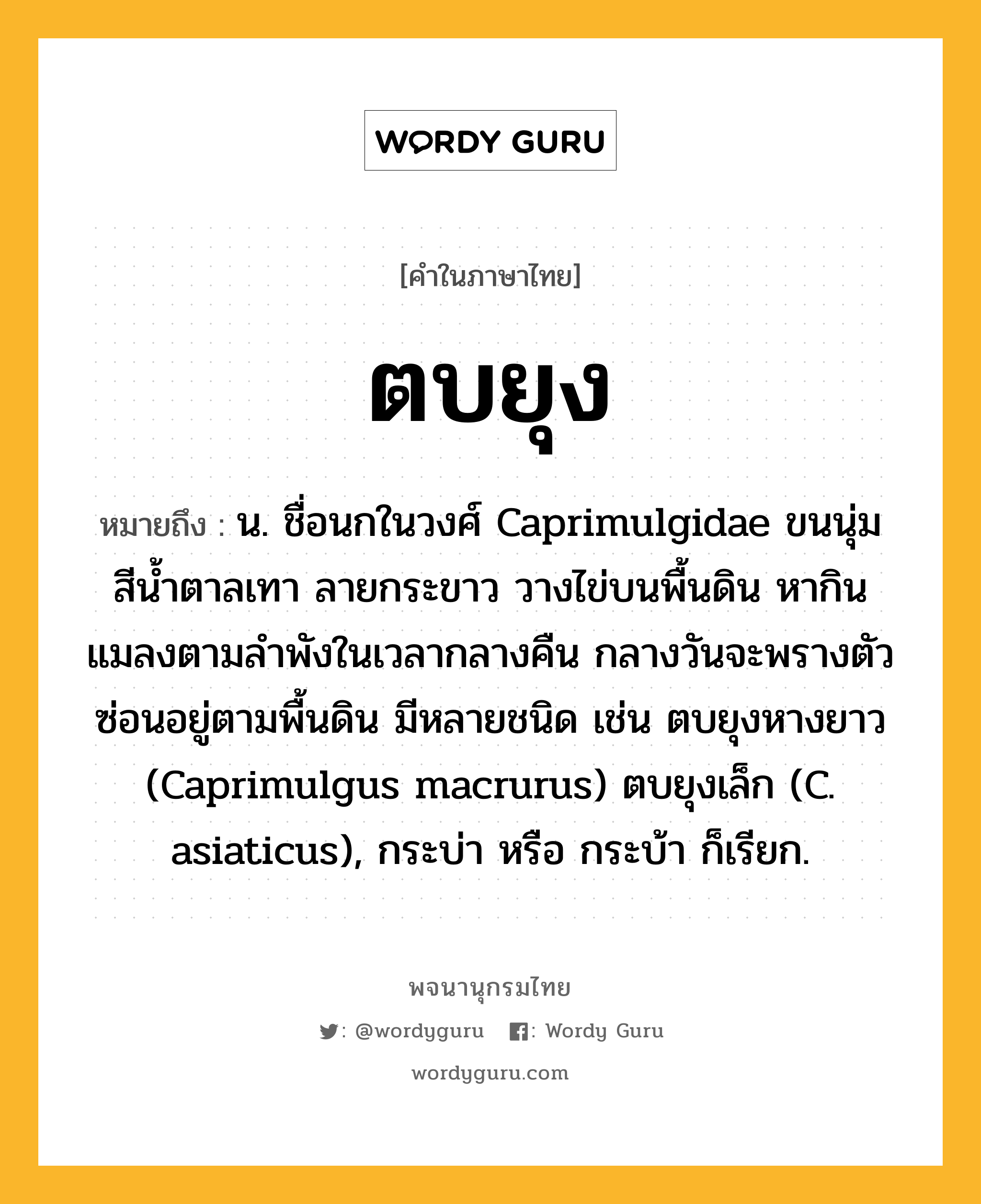 ตบยุง หมายถึงอะไร?, คำในภาษาไทย ตบยุง หมายถึง น. ชื่อนกในวงศ์ Caprimulgidae ขนนุ่มสีนํ้าตาลเทา ลายกระขาว วางไข่บนพื้นดิน หากินแมลงตามลําพังในเวลากลางคืน กลางวันจะพรางตัวซ่อนอยู่ตามพื้นดิน มีหลายชนิด เช่น ตบยุงหางยาว (Caprimulgus macrurus) ตบยุงเล็ก (C. asiaticus), กระบ่า หรือ กระบ้า ก็เรียก.