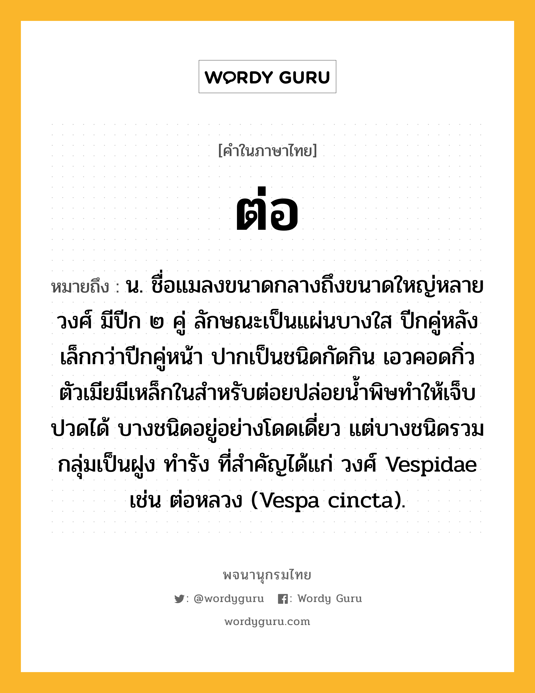 ต่อ หมายถึงอะไร?, คำในภาษาไทย ต่อ หมายถึง น. ชื่อแมลงขนาดกลางถึงขนาดใหญ่หลายวงศ์ มีปีก ๒ คู่ ลักษณะเป็นแผ่นบางใส ปีกคู่หลังเล็กกว่าปีกคู่หน้า ปากเป็นชนิดกัดกิน เอวคอดกิ่ว ตัวเมียมีเหล็กในสําหรับต่อยปล่อยนํ้าพิษทําให้เจ็บปวดได้ บางชนิดอยู่อย่างโดดเดี่ยว แต่บางชนิดรวมกลุ่มเป็นฝูง ทํารัง ที่สําคัญได้แก่ วงศ์ Vespidae เช่น ต่อหลวง (Vespa cincta).