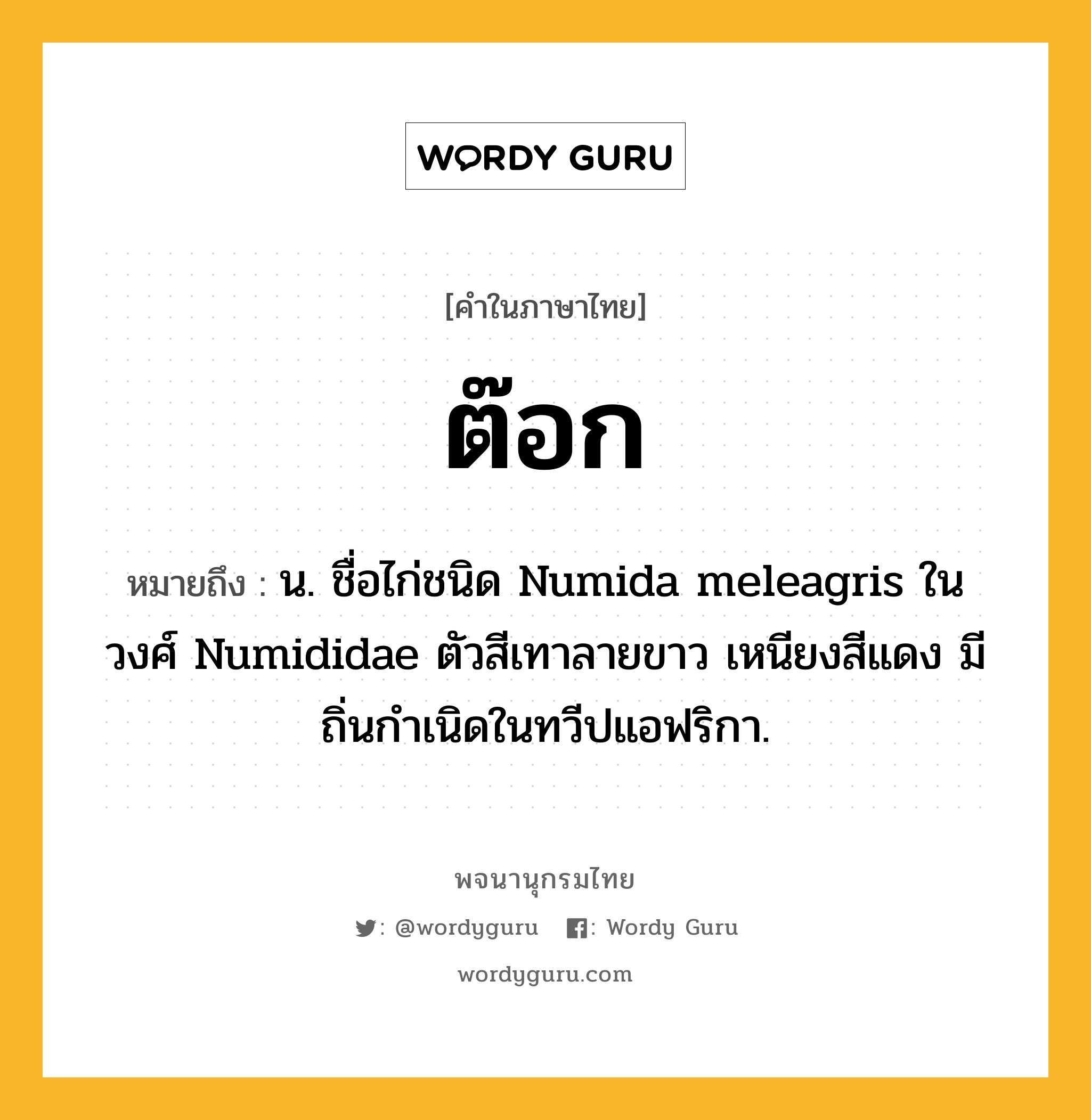 ต๊อก หมายถึงอะไร?, คำในภาษาไทย ต๊อก หมายถึง น. ชื่อไก่ชนิด Numida meleagris ในวงศ์ Numididae ตัวสีเทาลายขาว เหนียงสีแดง มีถิ่นกําเนิดในทวีปแอฟริกา.