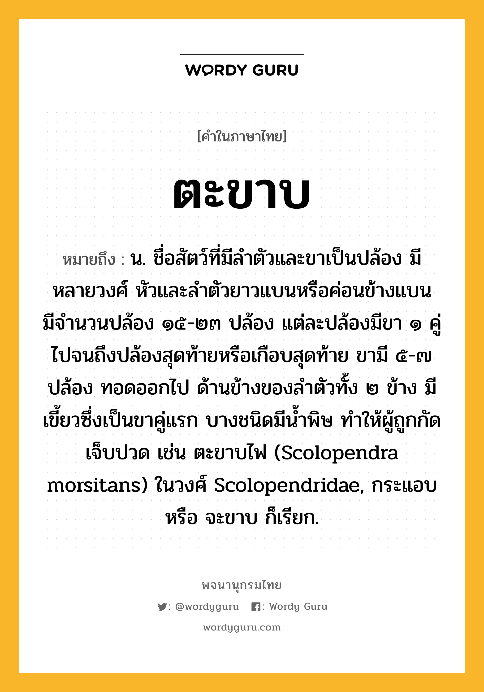 ตะขาบ หมายถึงอะไร?, คำในภาษาไทย ตะขาบ หมายถึง น. ชื่อสัตว์ที่มีลําตัวและขาเป็นปล้อง มีหลายวงศ์ หัวและลําตัวยาวแบนหรือค่อนข้างแบน มีจํานวนปล้อง ๑๕-๒๓ ปล้อง แต่ละปล้องมีขา ๑ คู่ไปจนถึงปล้องสุดท้ายหรือเกือบสุดท้าย ขามี ๕-๗ ปล้อง ทอดออกไป ด้านข้างของลําตัวทั้ง ๒ ข้าง มีเขี้ยวซึ่งเป็นขาคู่แรก บางชนิดมีนํ้าพิษ ทําให้ผู้ถูกกัดเจ็บปวด เช่น ตะขาบไฟ (Scolopendra morsitans) ในวงศ์ Scolopendridae, กระแอบ หรือ จะขาบ ก็เรียก.