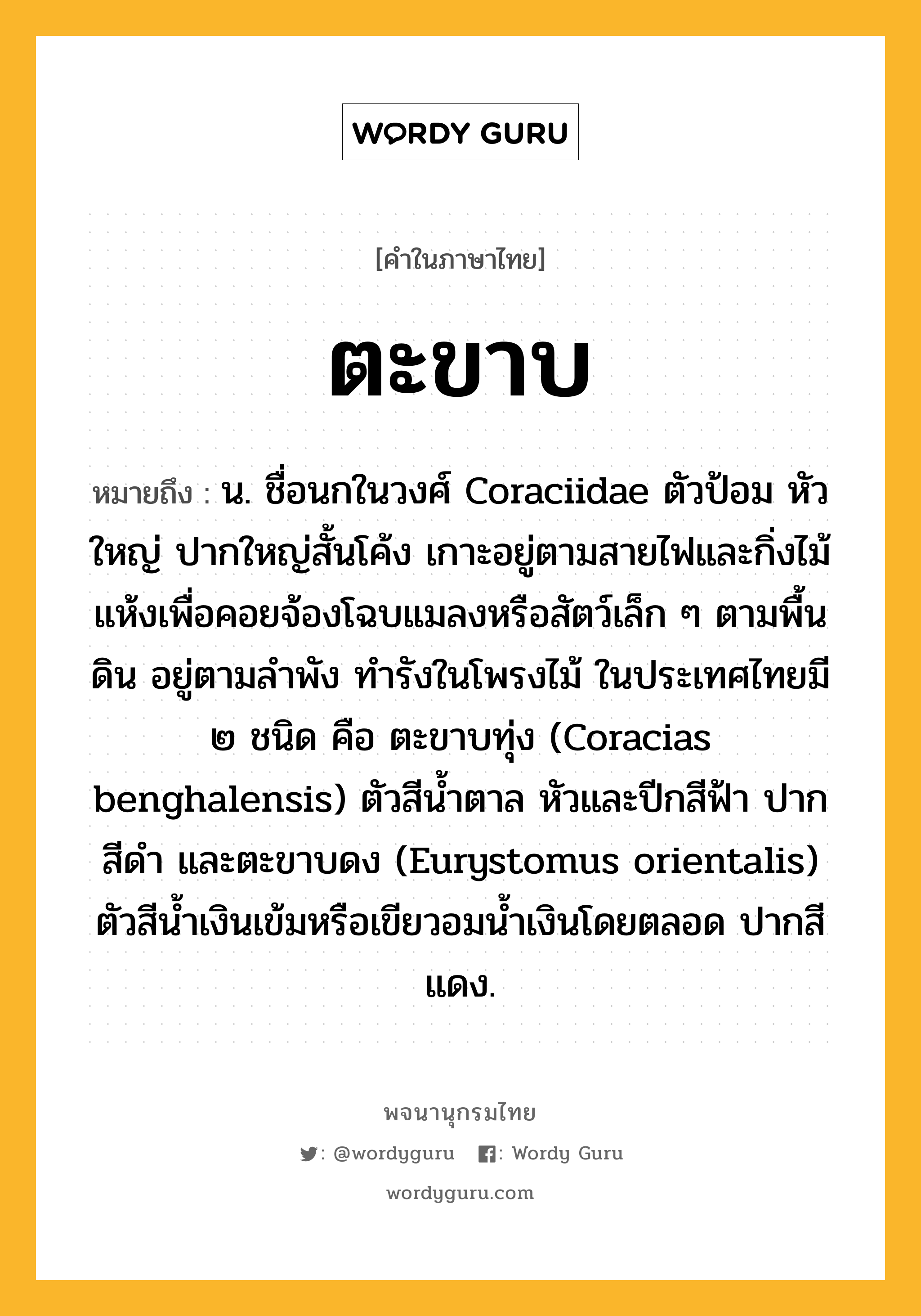 ตะขาบ หมายถึงอะไร?, คำในภาษาไทย ตะขาบ หมายถึง น. ชื่อนกในวงศ์ Coraciidae ตัวป้อม หัวใหญ่ ปากใหญ่สั้นโค้ง เกาะอยู่ตามสายไฟและกิ่งไม้แห้งเพื่อคอยจ้องโฉบแมลงหรือสัตว์เล็ก ๆ ตามพื้นดิน อยู่ตามลําพัง ทํารังในโพรงไม้ ในประเทศไทยมี ๒ ชนิด คือ ตะขาบทุ่ง (Coracias benghalensis) ตัวสีนํ้าตาล หัวและปีกสีฟ้า ปากสีดํา และตะขาบดง (Eurystomus orientalis) ตัวสีนํ้าเงินเข้มหรือเขียวอมน้ำเงินโดยตลอด ปากสีแดง.