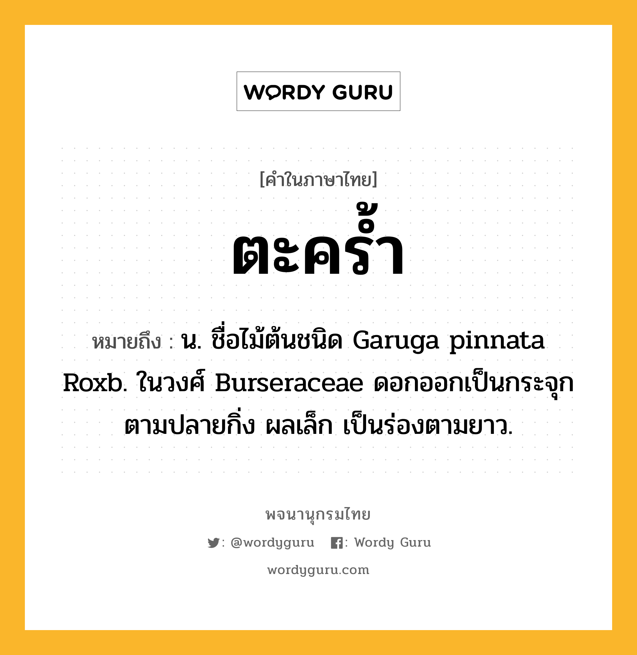 ตะคร้ำ ความหมาย หมายถึงอะไร?, คำในภาษาไทย ตะคร้ำ หมายถึง น. ชื่อไม้ต้นชนิด Garuga pinnata Roxb. ในวงศ์ Burseraceae ดอกออกเป็นกระจุกตามปลายกิ่ง ผลเล็ก เป็นร่องตามยาว.