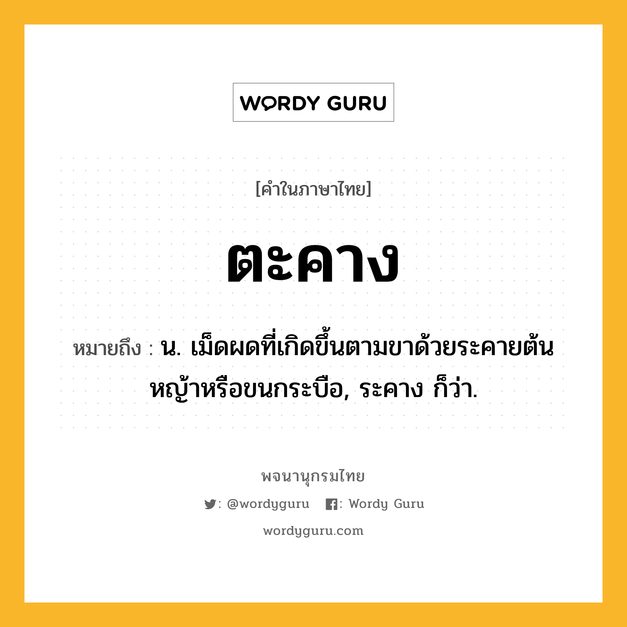 ตะคาง หมายถึงอะไร?, คำในภาษาไทย ตะคาง หมายถึง น. เม็ดผดที่เกิดขึ้นตามขาด้วยระคายต้นหญ้าหรือขนกระบือ, ระคาง ก็ว่า.