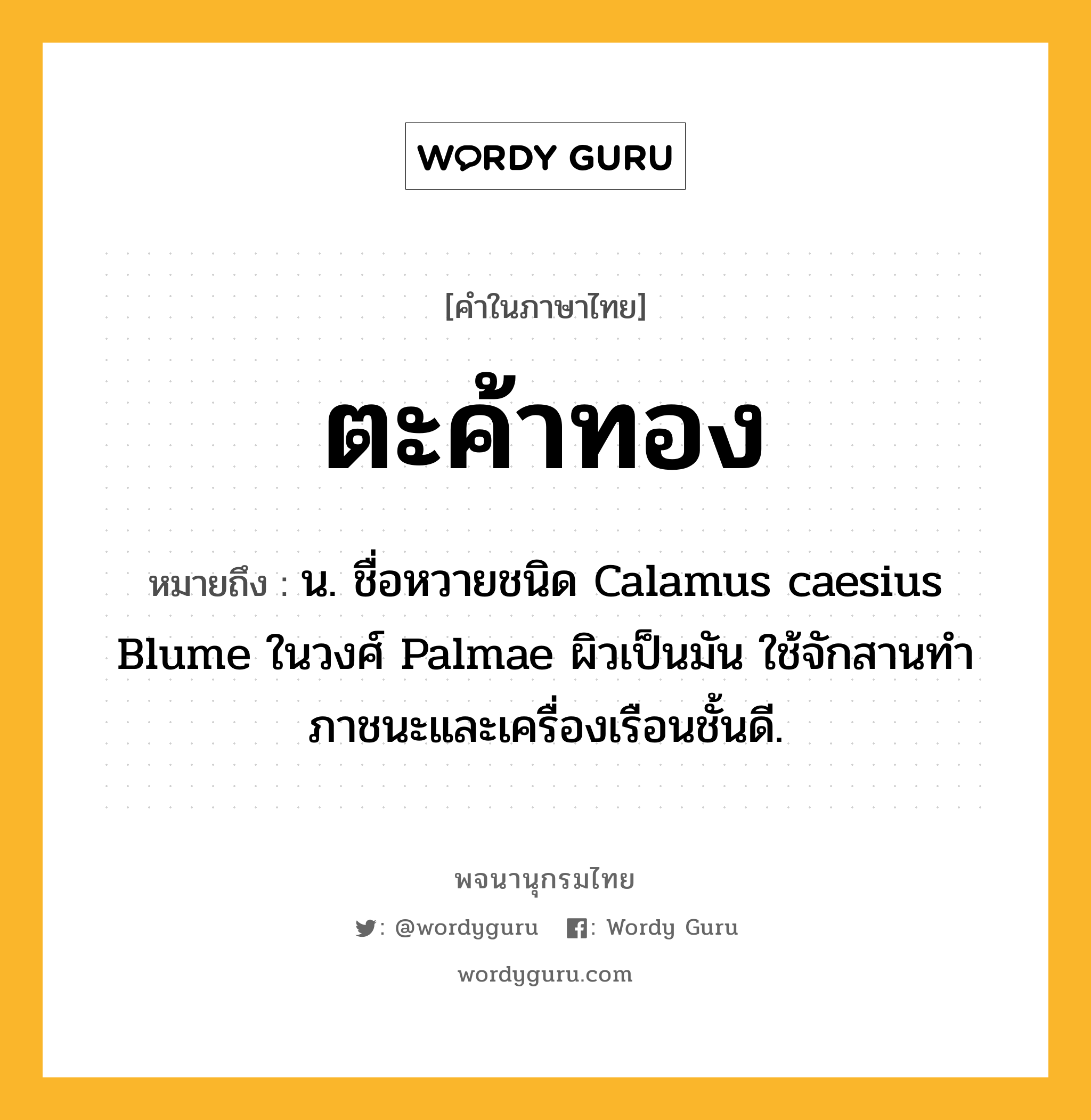 ตะค้าทอง ความหมาย หมายถึงอะไร?, คำในภาษาไทย ตะค้าทอง หมายถึง น. ชื่อหวายชนิด Calamus caesius Blume ในวงศ์ Palmae ผิวเป็นมัน ใช้จักสานทําภาชนะและเครื่องเรือนชั้นดี.