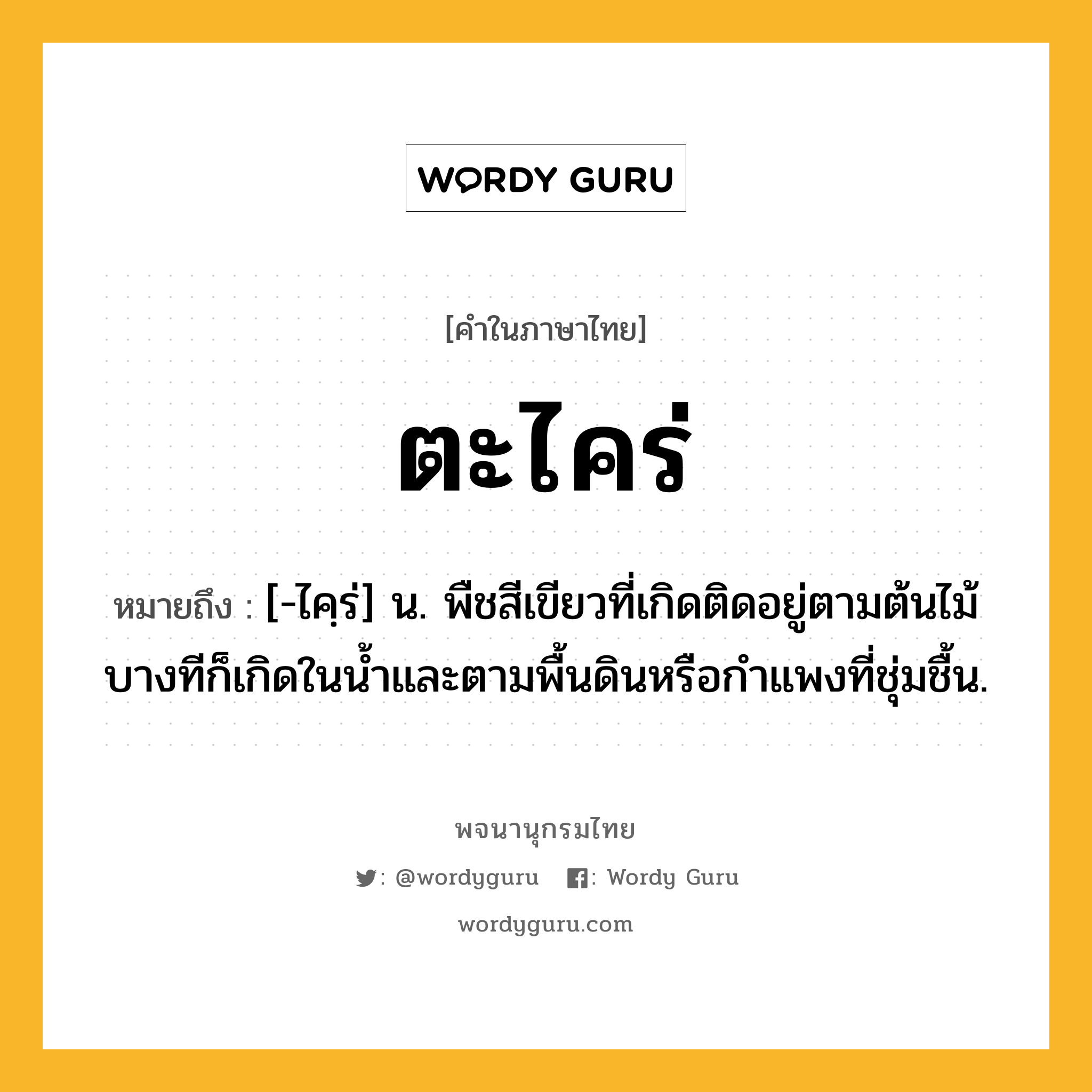 ตะไคร่ หมายถึงอะไร?, คำในภาษาไทย ตะไคร่ หมายถึง [-ไคฺร่] น. พืชสีเขียวที่เกิดติดอยู่ตามต้นไม้ บางทีก็เกิดในนํ้าและตามพื้นดินหรือกําแพงที่ชุ่มชื้น.