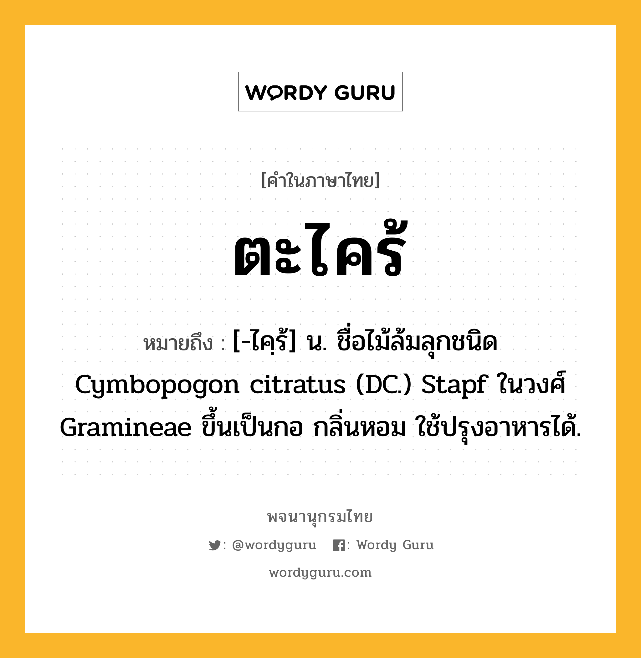 ตะไคร้ ความหมาย หมายถึงอะไร?, คำในภาษาไทย ตะไคร้ หมายถึง [-ไคฺร้] น. ชื่อไม้ล้มลุกชนิด Cymbopogon citratus (DC.) Stapf ในวงศ์ Gramineae ขึ้นเป็นกอ กลิ่นหอม ใช้ปรุงอาหารได้.