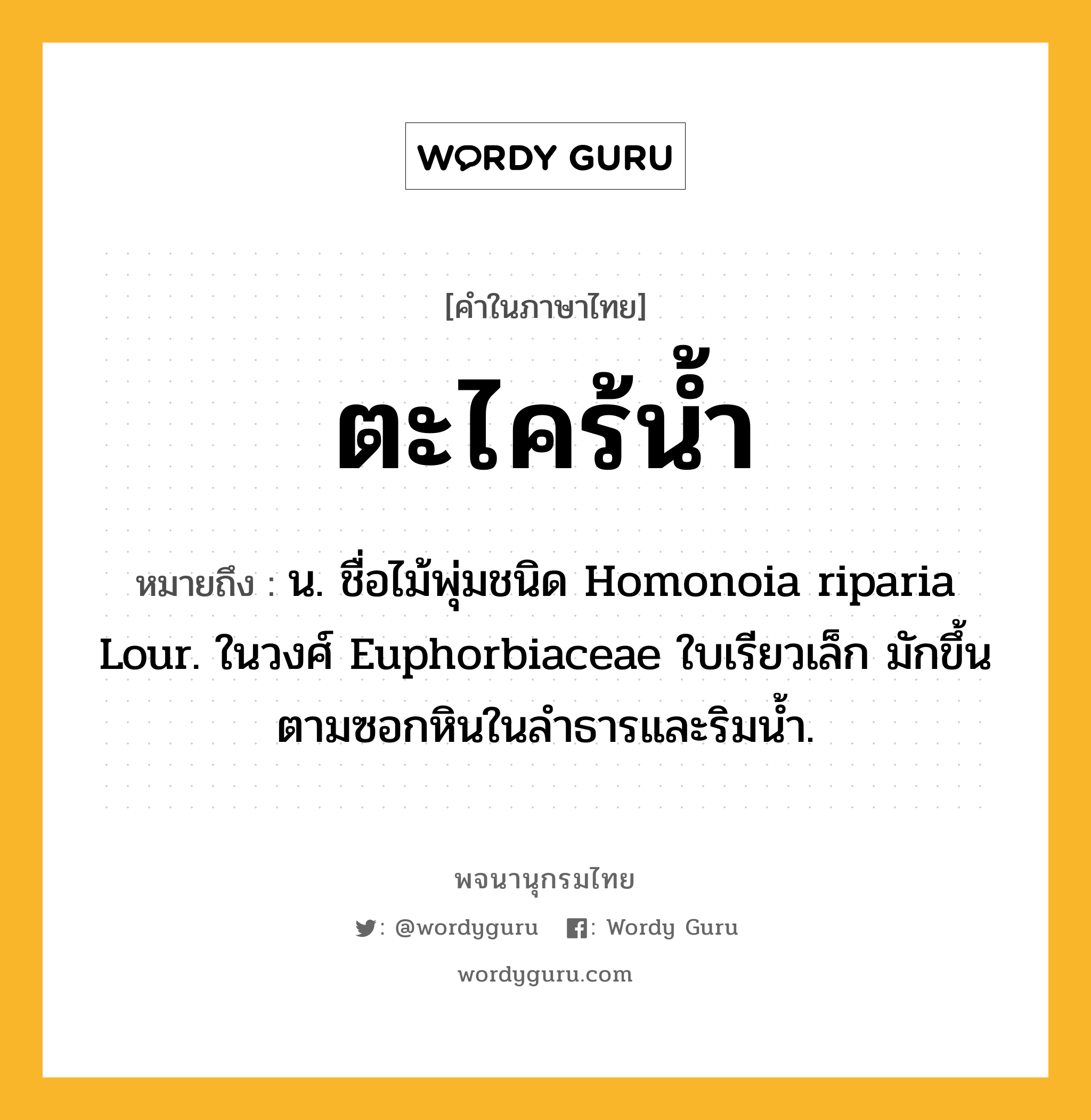 ตะไคร้น้ำ ความหมาย หมายถึงอะไร?, คำในภาษาไทย ตะไคร้น้ำ หมายถึง น. ชื่อไม้พุ่มชนิด Homonoia riparia Lour. ในวงศ์ Euphorbiaceae ใบเรียวเล็ก มักขึ้นตามซอกหินในลําธารและริมน้ำ.