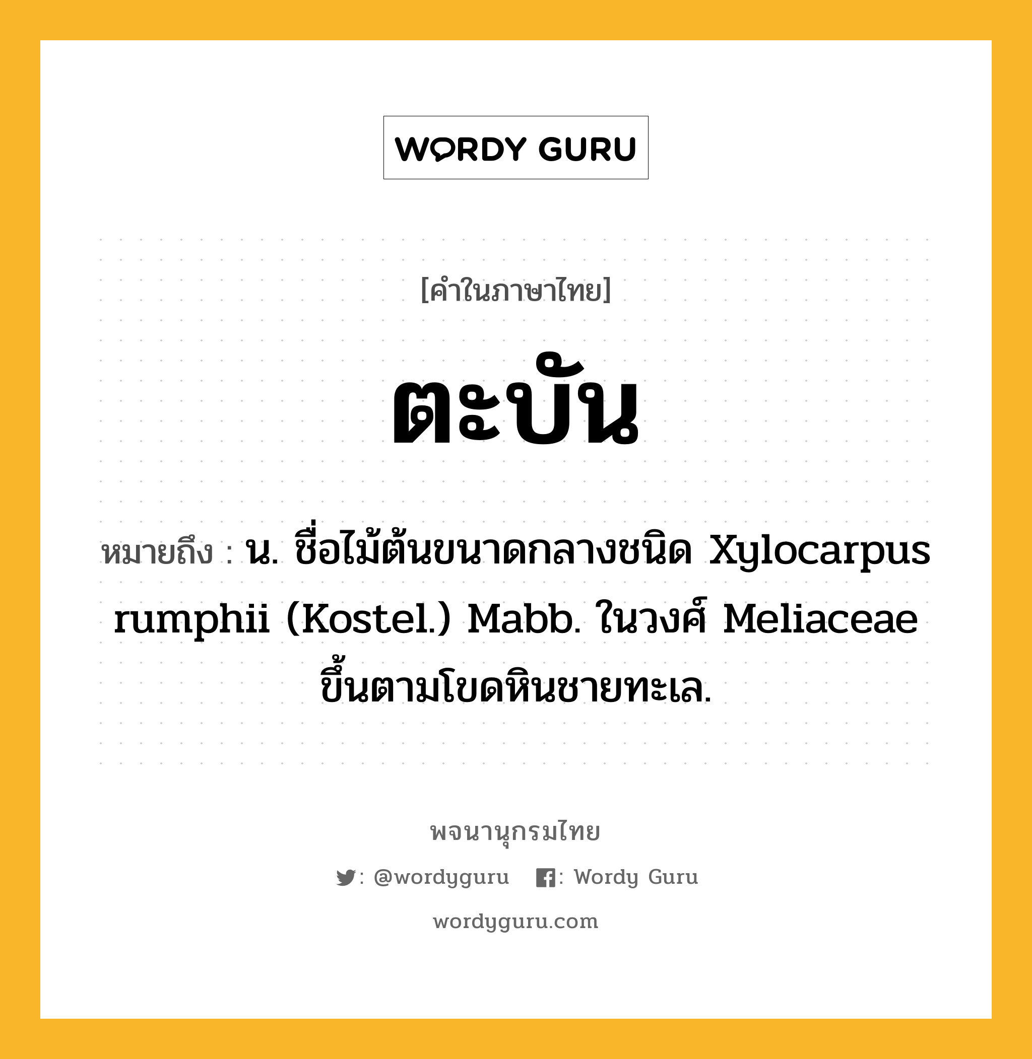 ตะบัน หมายถึงอะไร?, คำในภาษาไทย ตะบัน หมายถึง น. ชื่อไม้ต้นขนาดกลางชนิด Xylocarpus rumphii (Kostel.) Mabb. ในวงศ์ Meliaceae ขึ้นตามโขดหินชายทะเล.