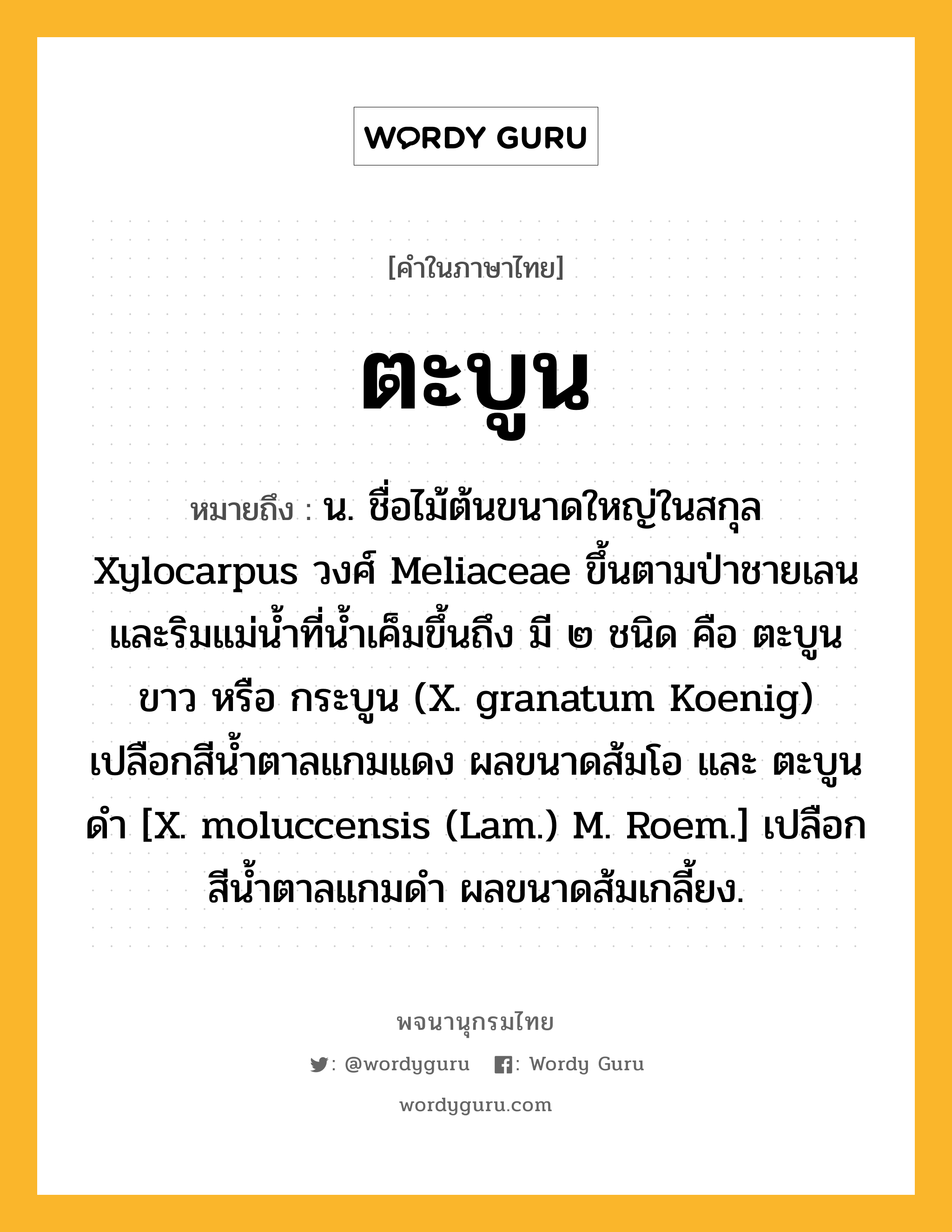 ตะบูน ความหมาย หมายถึงอะไร?, คำในภาษาไทย ตะบูน หมายถึง น. ชื่อไม้ต้นขนาดใหญ่ในสกุล Xylocarpus วงศ์ Meliaceae ขึ้นตามป่าชายเลนและริมแม่นํ้าที่นํ้าเค็มขึ้นถึง มี ๒ ชนิด คือ ตะบูนขาว หรือ กระบูน (X. granatum Koenig) เปลือกสีนํ้าตาลแกมแดง ผลขนาดส้มโอ และ ตะบูนดํา [X. moluccensis (Lam.) M. Roem.] เปลือกสีนํ้าตาลแกมดํา ผลขนาดส้มเกลี้ยง.