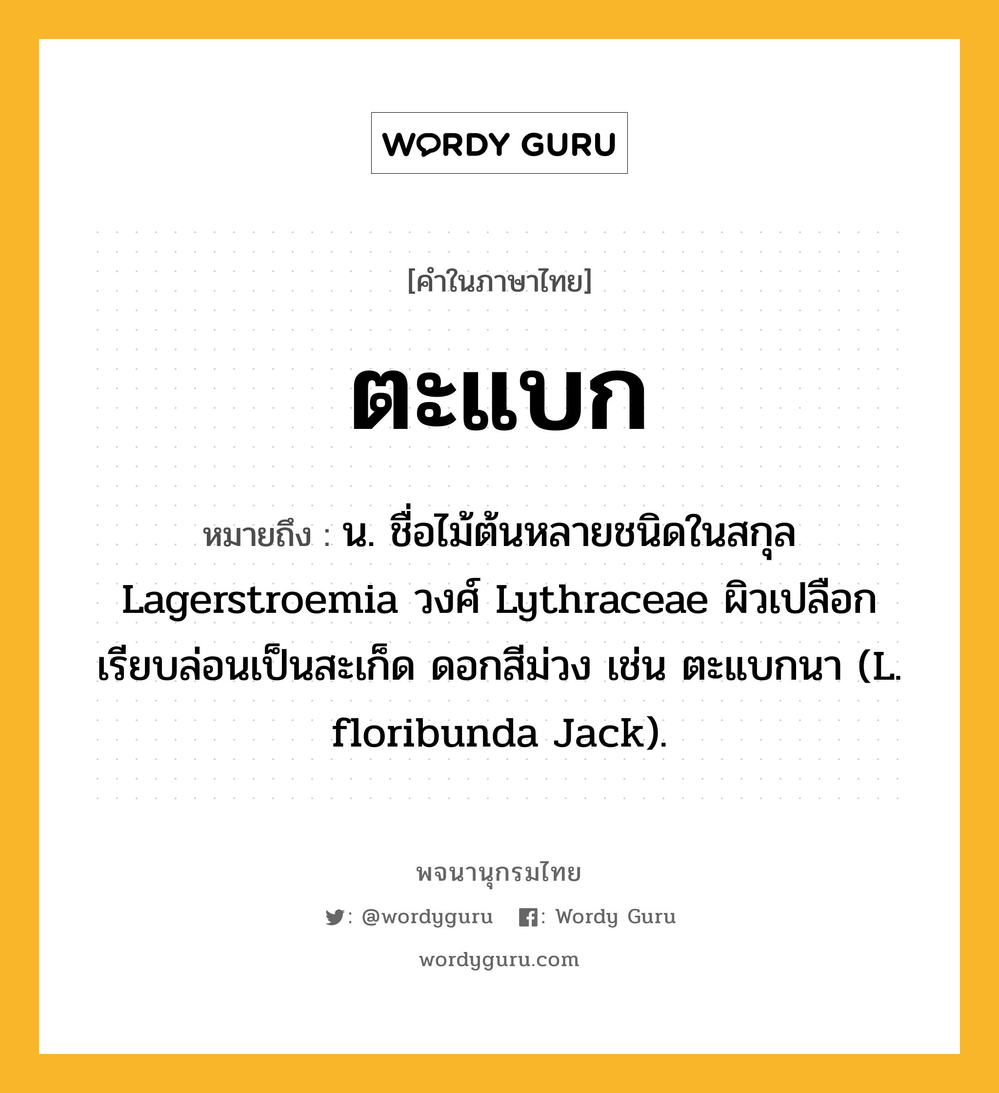 ตะแบก หมายถึงอะไร?, คำในภาษาไทย ตะแบก หมายถึง น. ชื่อไม้ต้นหลายชนิดในสกุล Lagerstroemia วงศ์ Lythraceae ผิวเปลือกเรียบล่อนเป็นสะเก็ด ดอกสีม่วง เช่น ตะแบกนา (L. floribunda Jack).