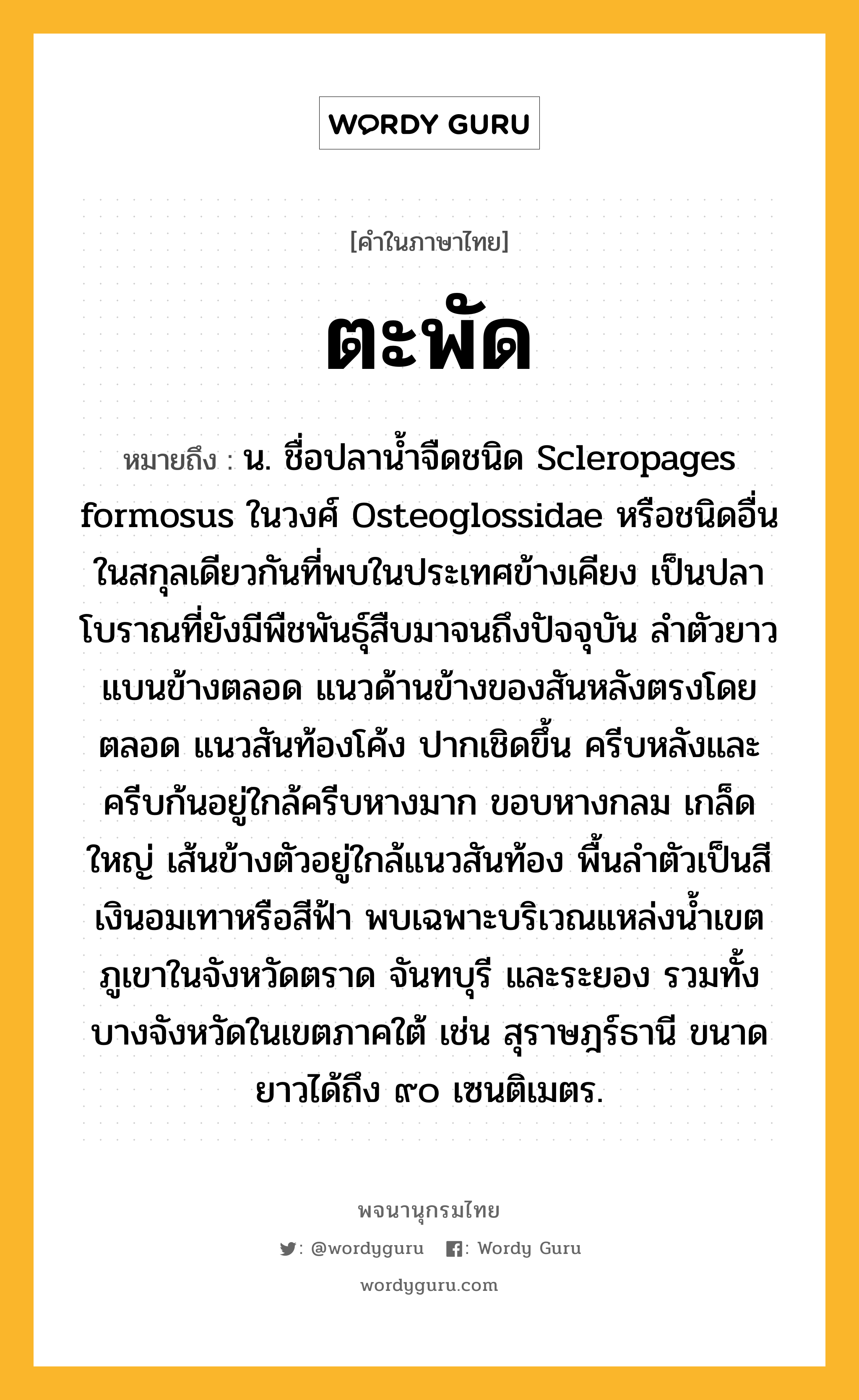 ตะพัด หมายถึงอะไร?, คำในภาษาไทย ตะพัด หมายถึง น. ชื่อปลานํ้าจืดชนิด Scleropages formosus ในวงศ์ Osteoglossidae หรือชนิดอื่นในสกุลเดียวกันที่พบในประเทศข้างเคียง เป็นปลาโบราณที่ยังมีพืชพันธุ์สืบมาจนถึงปัจจุบัน ลําตัวยาว แบนข้างตลอด แนวด้านข้างของสันหลังตรงโดยตลอด แนวสันท้องโค้ง ปากเชิดขึ้น ครีบหลังและครีบก้นอยู่ใกล้ครีบหางมาก ขอบหางกลม เกล็ดใหญ่ เส้นข้างตัวอยู่ใกล้แนวสันท้อง พื้นลําตัวเป็นสีเงินอมเทาหรือสีฟ้า พบเฉพาะบริเวณแหล่งนํ้าเขตภูเขาในจังหวัดตราด จันทบุรี และระยอง รวมทั้งบางจังหวัดในเขตภาคใต้ เช่น สุราษฎร์ธานี ขนาดยาวได้ถึง ๙๐ เซนติเมตร.