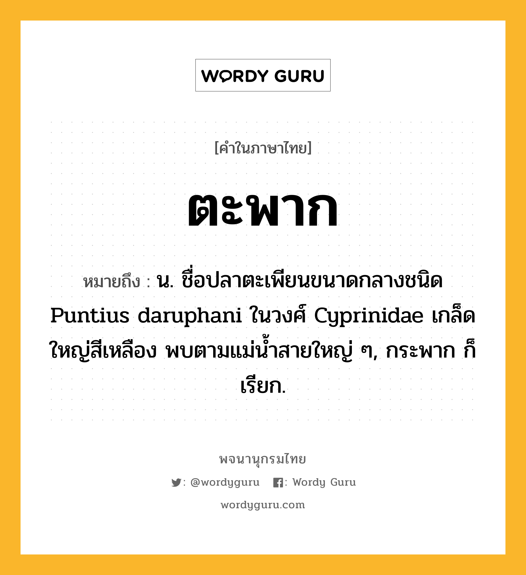 ตะพาก หมายถึงอะไร?, คำในภาษาไทย ตะพาก หมายถึง น. ชื่อปลาตะเพียนขนาดกลางชนิด Puntius daruphani ในวงศ์ Cyprinidae เกล็ดใหญ่สีเหลือง พบตามแม่นํ้าสายใหญ่ ๆ, กระพาก ก็เรียก.