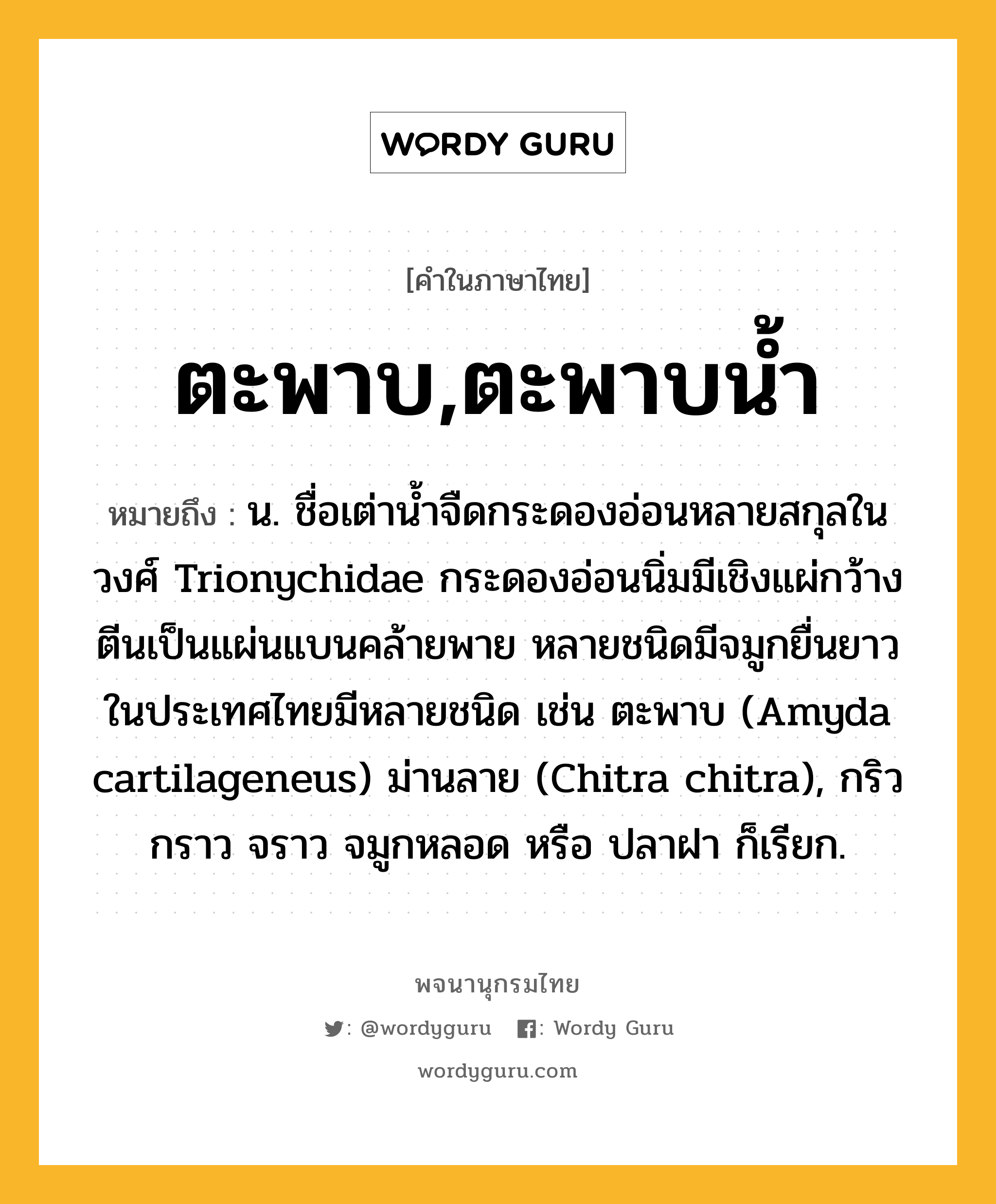 ตะพาบ,ตะพาบน้ำ หมายถึงอะไร?, คำในภาษาไทย ตะพาบ,ตะพาบน้ำ หมายถึง น. ชื่อเต่านํ้าจืดกระดองอ่อนหลายสกุลในวงศ์ Trionychidae กระดองอ่อนนิ่มมีเชิงแผ่กว้าง ตีนเป็นแผ่นแบนคล้ายพาย หลายชนิดมีจมูกยื่นยาว ในประเทศไทยมีหลายชนิด เช่น ตะพาบ (Amyda cartilageneus) ม่านลาย (Chitra chitra), กริว กราว จราว จมูกหลอด หรือ ปลาฝา ก็เรียก.