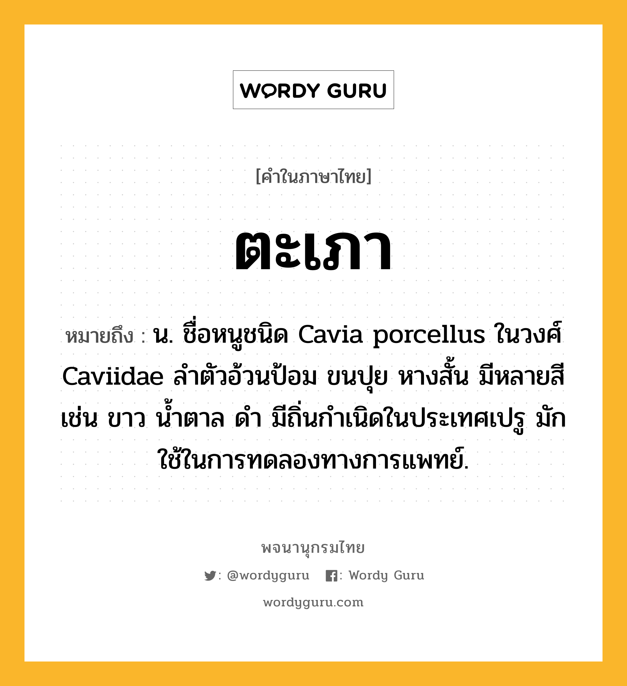 ตะเภา หมายถึงอะไร?, คำในภาษาไทย ตะเภา หมายถึง น. ชื่อหนูชนิด Cavia porcellus ในวงศ์ Caviidae ลำตัวอ้วนป้อม ขนปุย หางสั้น มีหลายสี เช่น ขาว นํ้าตาล ดํา มีถิ่นกําเนิดในประเทศเปรู มักใช้ในการทดลองทางการแพทย์.