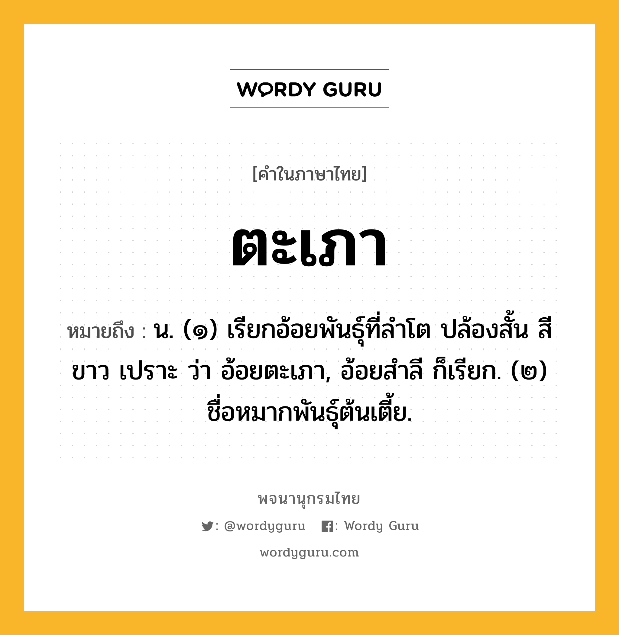 ตะเภา หมายถึงอะไร?, คำในภาษาไทย ตะเภา หมายถึง น. (๑) เรียกอ้อยพันธุ์ที่ลําโต ปล้องสั้น สีขาว เปราะ ว่า อ้อยตะเภา, อ้อยสําลี ก็เรียก. (๒) ชื่อหมากพันธุ์ต้นเตี้ย.