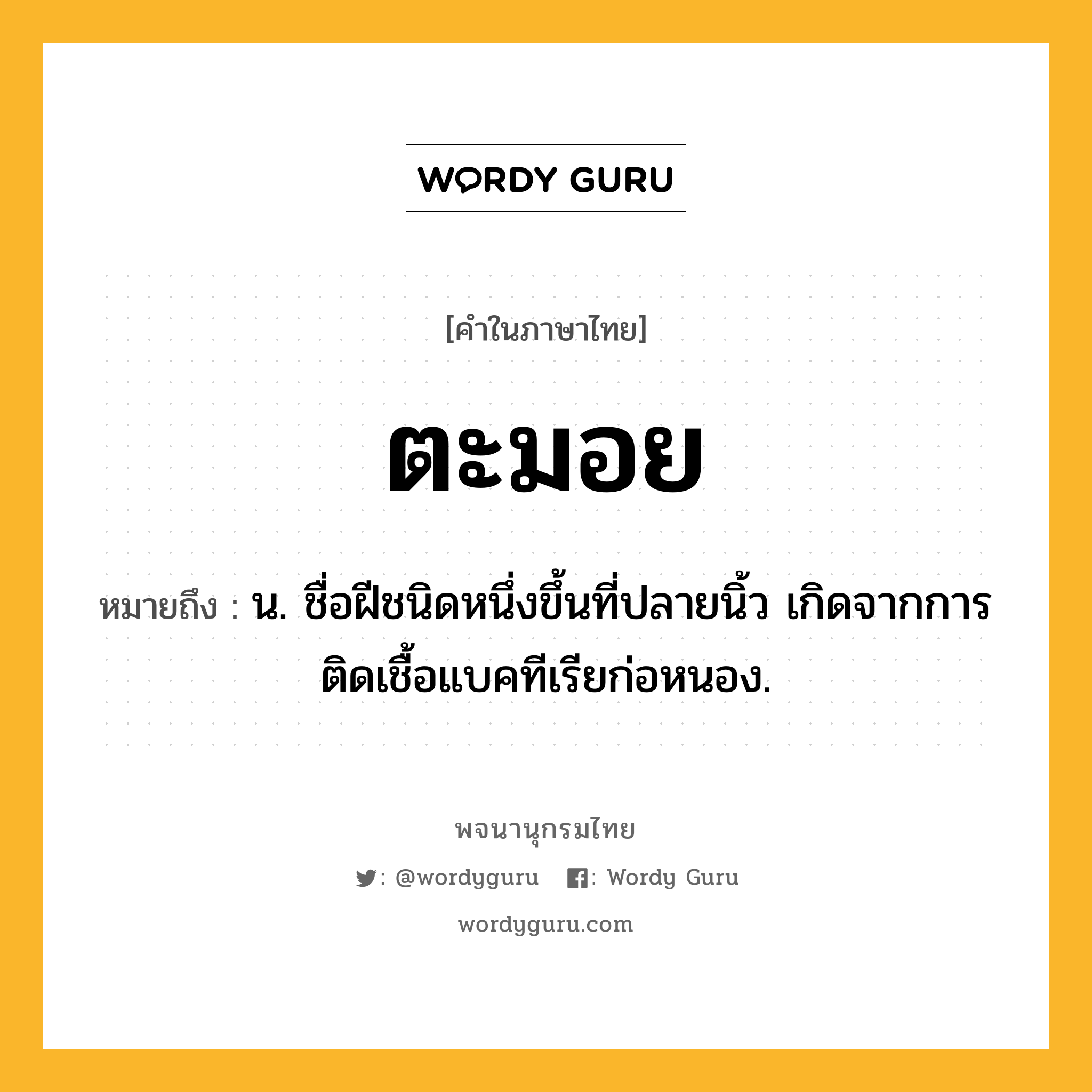 ตะมอย ความหมาย หมายถึงอะไร?, คำในภาษาไทย ตะมอย หมายถึง น. ชื่อฝีชนิดหนึ่งขึ้นที่ปลายนิ้ว เกิดจากการติดเชื้อแบคทีเรียก่อหนอง.