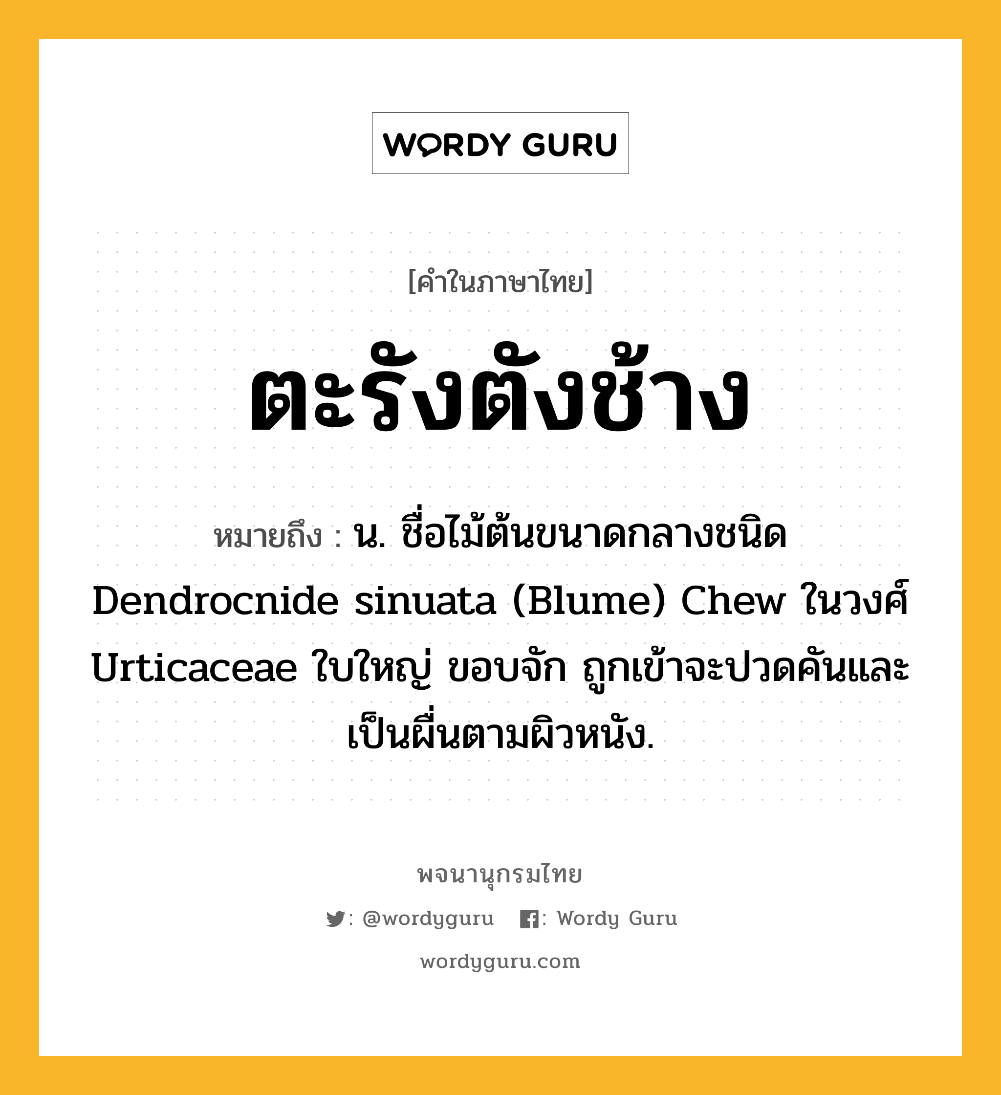 ตะรังตังช้าง ความหมาย หมายถึงอะไร?, คำในภาษาไทย ตะรังตังช้าง หมายถึง น. ชื่อไม้ต้นขนาดกลางชนิด Dendrocnide sinuata (Blume) Chew ในวงศ์ Urticaceae ใบใหญ่ ขอบจัก ถูกเข้าจะปวดคันและเป็นผื่นตามผิวหนัง.