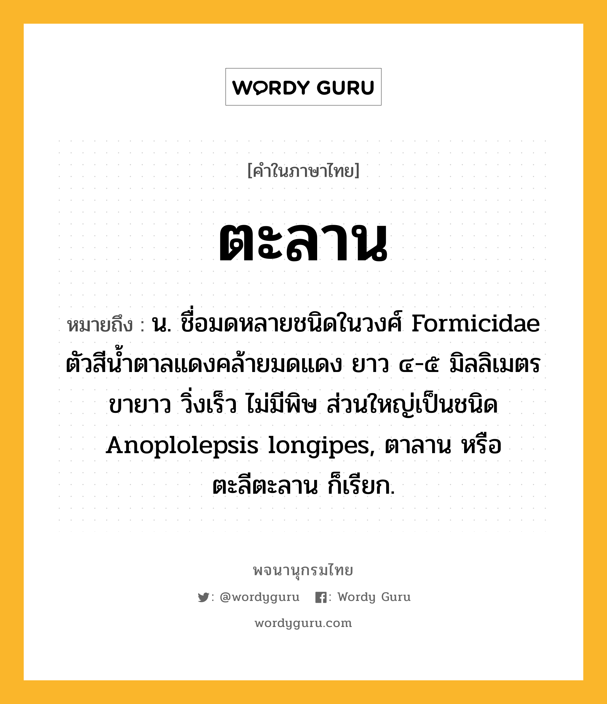 ตะลาน หมายถึงอะไร?, คำในภาษาไทย ตะลาน หมายถึง น. ชื่อมดหลายชนิดในวงศ์ Formicidae ตัวสีนํ้าตาลแดงคล้ายมดแดง ยาว ๔-๕ มิลลิเมตร ขายาว วิ่งเร็ว ไม่มีพิษ ส่วนใหญ่เป็นชนิด Anoplolepsis longipes, ตาลาน หรือ ตะลีตะลาน ก็เรียก.