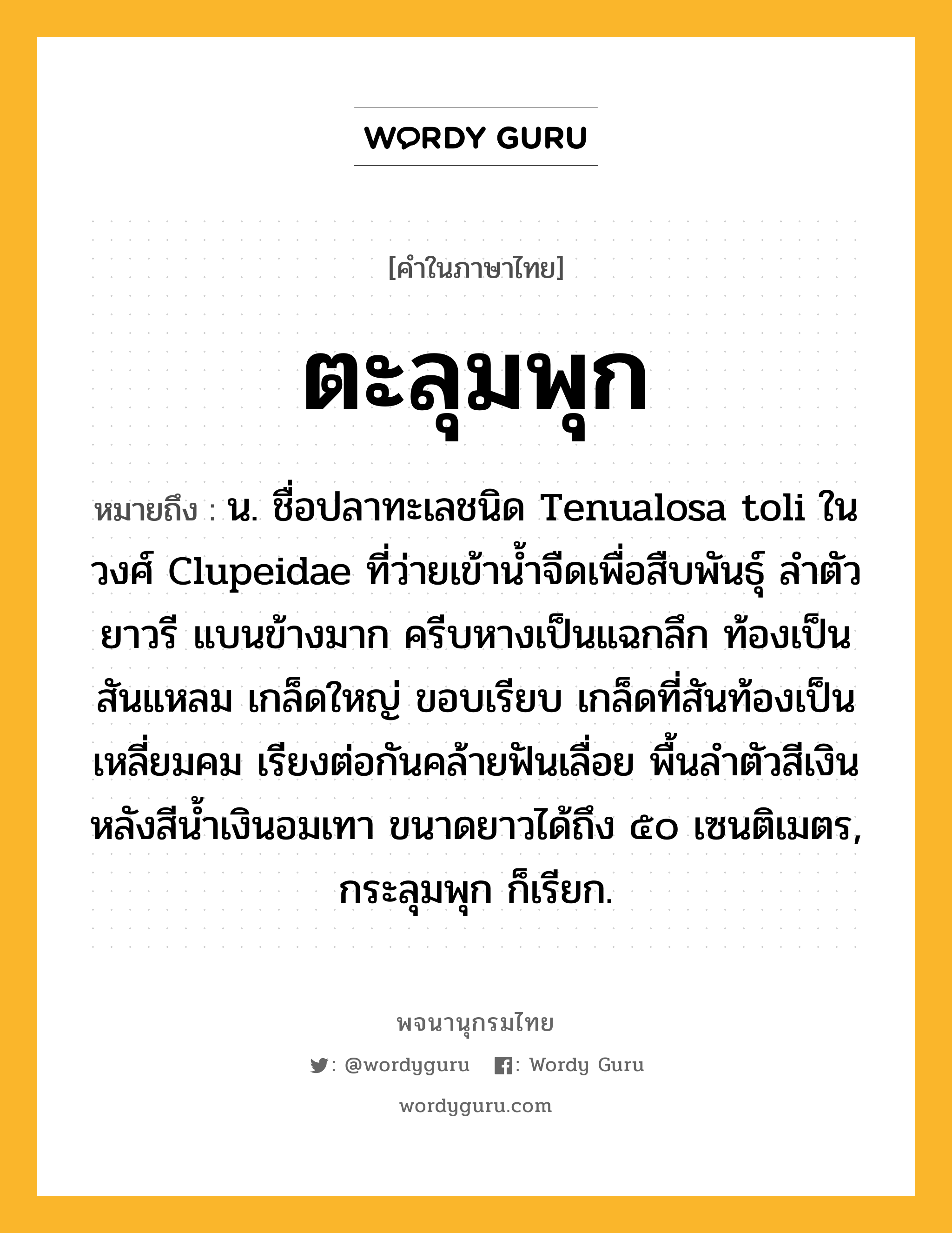 ตะลุมพุก ความหมาย หมายถึงอะไร?, คำในภาษาไทย ตะลุมพุก หมายถึง น. ชื่อปลาทะเลชนิด Tenualosa toli ในวงศ์ Clupeidae ที่ว่ายเข้านํ้าจืดเพื่อสืบพันธุ์ ลําตัวยาวรี แบนข้างมาก ครีบหางเป็นแฉกลึก ท้องเป็นสันแหลม เกล็ดใหญ่ ขอบเรียบ เกล็ดที่สันท้องเป็นเหลี่ยมคม เรียงต่อกันคล้ายฟันเลื่อย พื้นลําตัวสีเงิน หลังสีนํ้าเงินอมเทา ขนาดยาวได้ถึง ๕๐ เซนติเมตร, กระลุมพุก ก็เรียก.