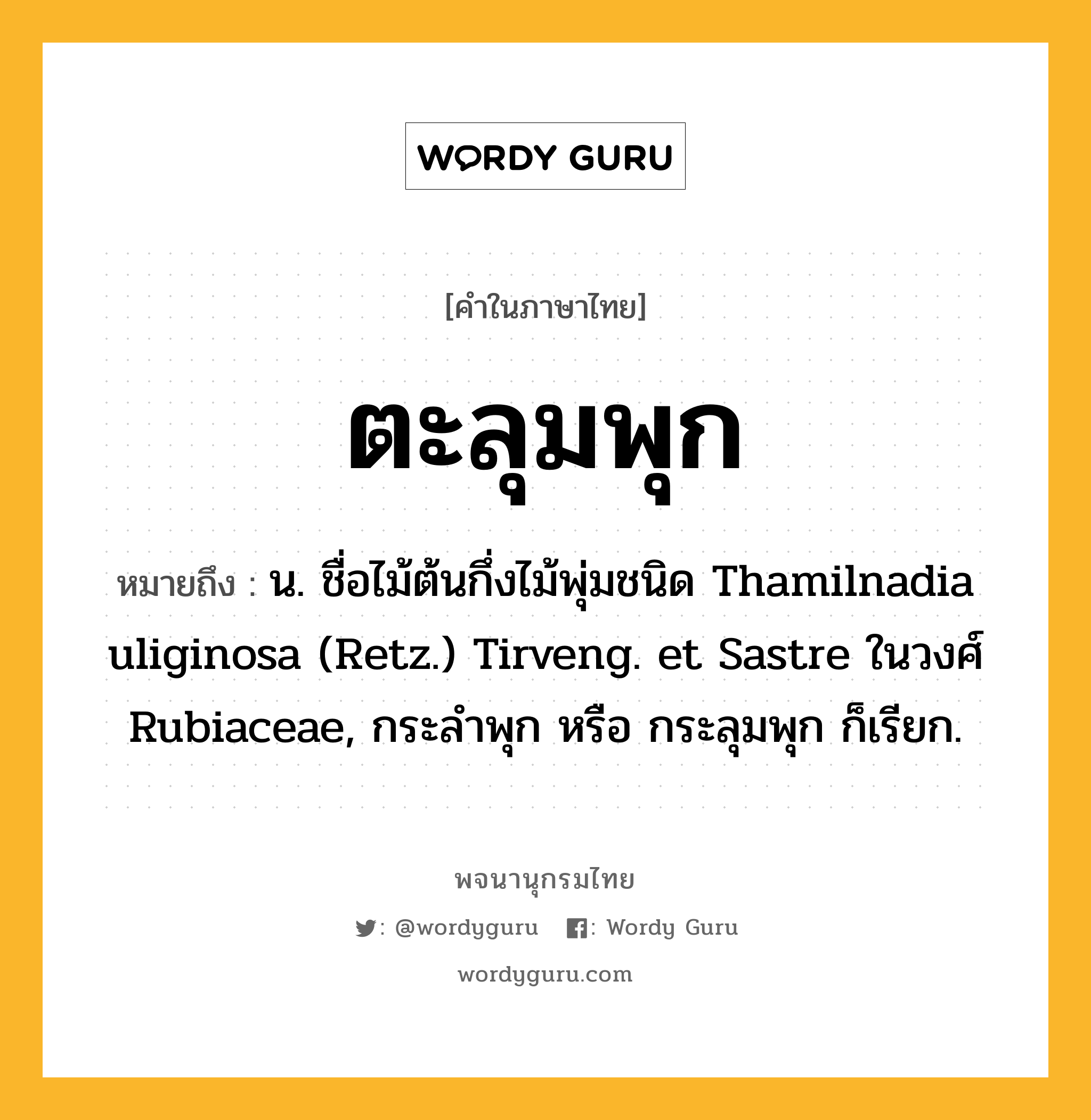 ตะลุมพุก ความหมาย หมายถึงอะไร?, คำในภาษาไทย ตะลุมพุก หมายถึง น. ชื่อไม้ต้นกึ่งไม้พุ่มชนิด Thamilnadia uliginosa (Retz.) Tirveng. et Sastre ในวงศ์ Rubiaceae, กระลําพุก หรือ กระลุมพุก ก็เรียก.