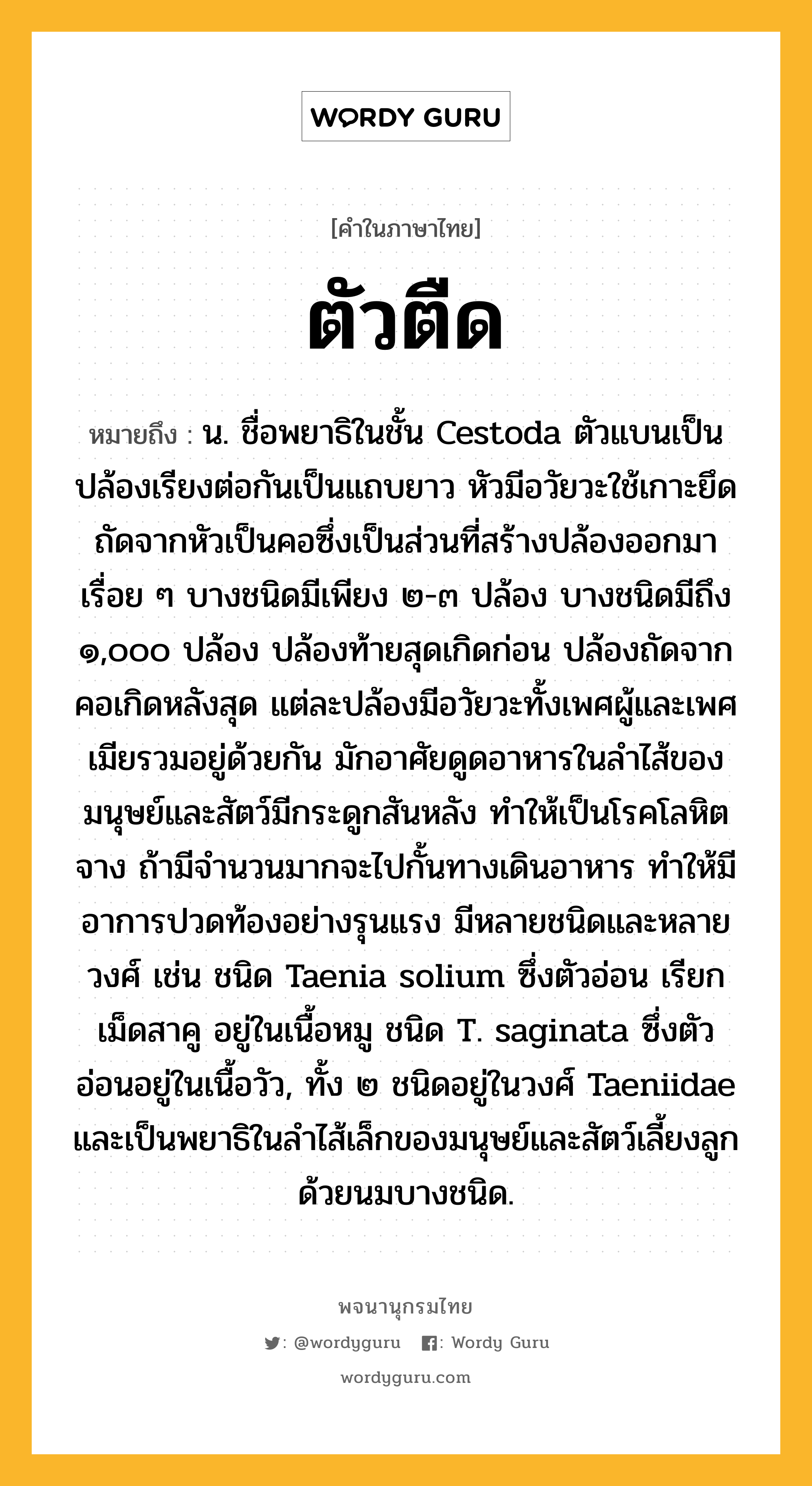 ตัวตืด ความหมาย หมายถึงอะไร?, คำในภาษาไทย ตัวตืด หมายถึง น. ชื่อพยาธิในชั้น Cestoda ตัวแบนเป็นปล้องเรียงต่อกันเป็นแถบยาว หัวมีอวัยวะใช้เกาะยึด ถัดจากหัวเป็นคอซึ่งเป็นส่วนที่สร้างปล้องออกมาเรื่อย ๆ บางชนิดมีเพียง ๒-๓ ปล้อง บางชนิดมีถึง ๑,๐๐๐ ปล้อง ปล้องท้ายสุดเกิดก่อน ปล้องถัดจากคอเกิดหลังสุด แต่ละปล้องมีอวัยวะทั้งเพศผู้และเพศเมียรวมอยู่ด้วยกัน มักอาศัยดูดอาหารในลําไส้ของมนุษย์และสัตว์มีกระดูกสันหลัง ทําให้เป็นโรคโลหิตจาง ถ้ามีจํานวนมากจะไปกั้นทางเดินอาหาร ทําให้มีอาการปวดท้องอย่างรุนแรง มีหลายชนิดและหลายวงศ์ เช่น ชนิด Taenia solium ซึ่งตัวอ่อน เรียก เม็ดสาคู อยู่ในเนื้อหมู ชนิด T. saginata ซึ่งตัวอ่อนอยู่ในเนื้อวัว, ทั้ง ๒ ชนิดอยู่ในวงศ์ Taeniidae และเป็นพยาธิในลําไส้เล็กของมนุษย์และสัตว์เลี้ยงลูกด้วยนมบางชนิด.