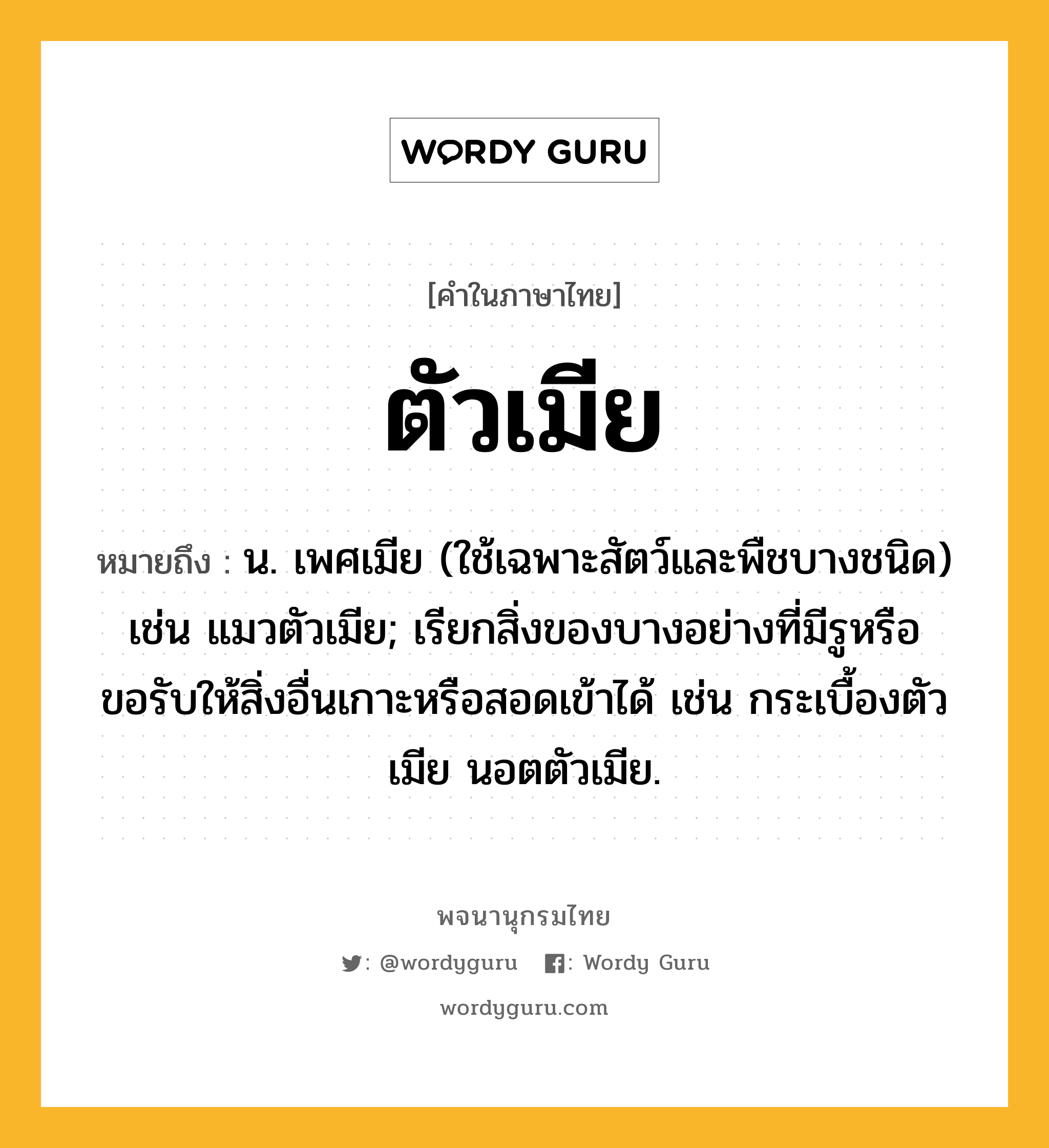 ตัวเมีย ความหมาย หมายถึงอะไร?, คำในภาษาไทย ตัวเมีย หมายถึง น. เพศเมีย (ใช้เฉพาะสัตว์และพืชบางชนิด) เช่น แมวตัวเมีย; เรียกสิ่งของบางอย่างที่มีรูหรือขอรับให้สิ่งอื่นเกาะหรือสอดเข้าได้ เช่น กระเบื้องตัวเมีย นอตตัวเมีย.