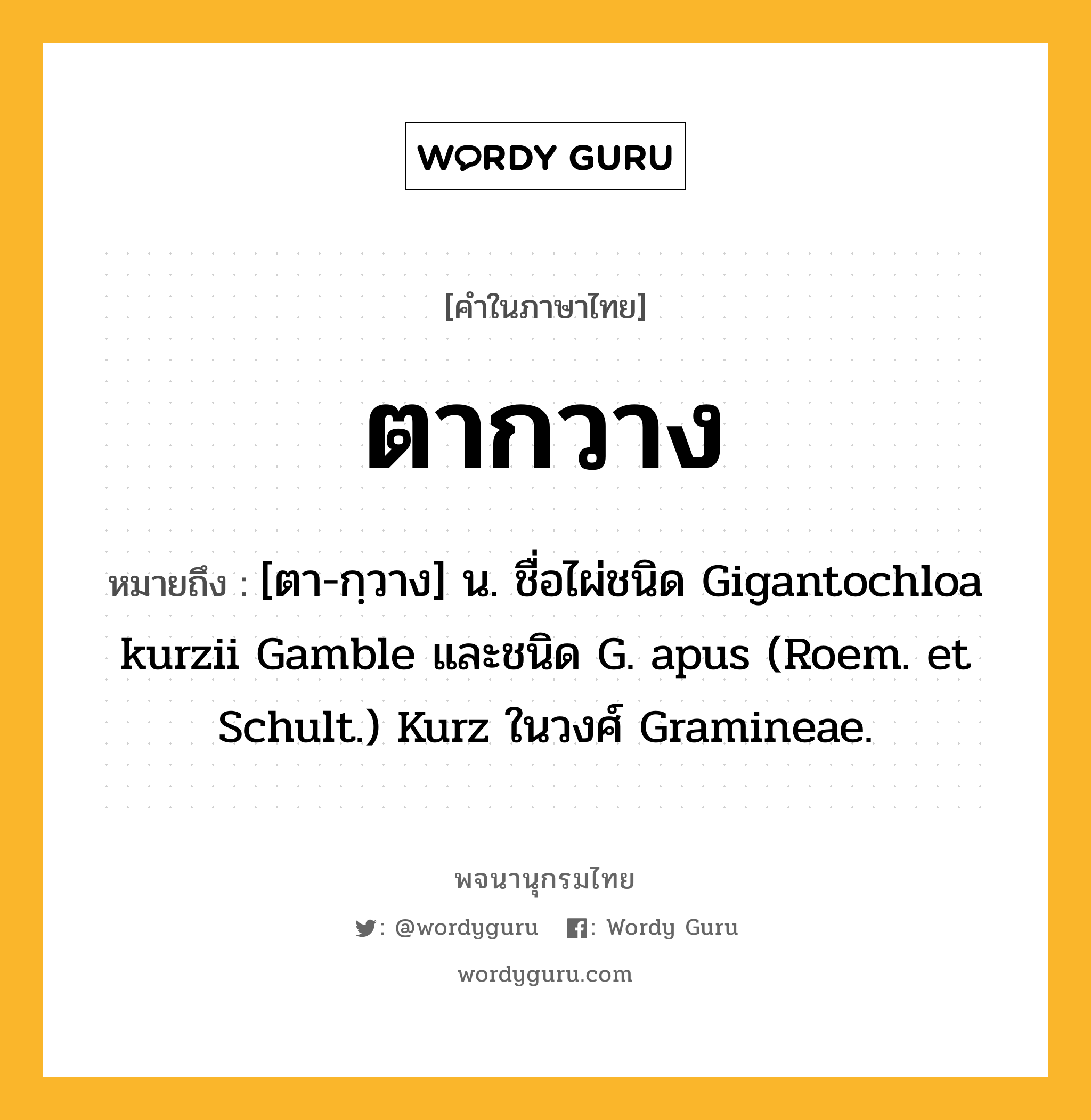 ตากวาง ความหมาย หมายถึงอะไร?, คำในภาษาไทย ตากวาง หมายถึง [ตา-กฺวาง] น. ชื่อไผ่ชนิด Gigantochloa kurzii Gamble และชนิด G. apus (Roem. et Schult.) Kurz ในวงศ์ Gramineae.