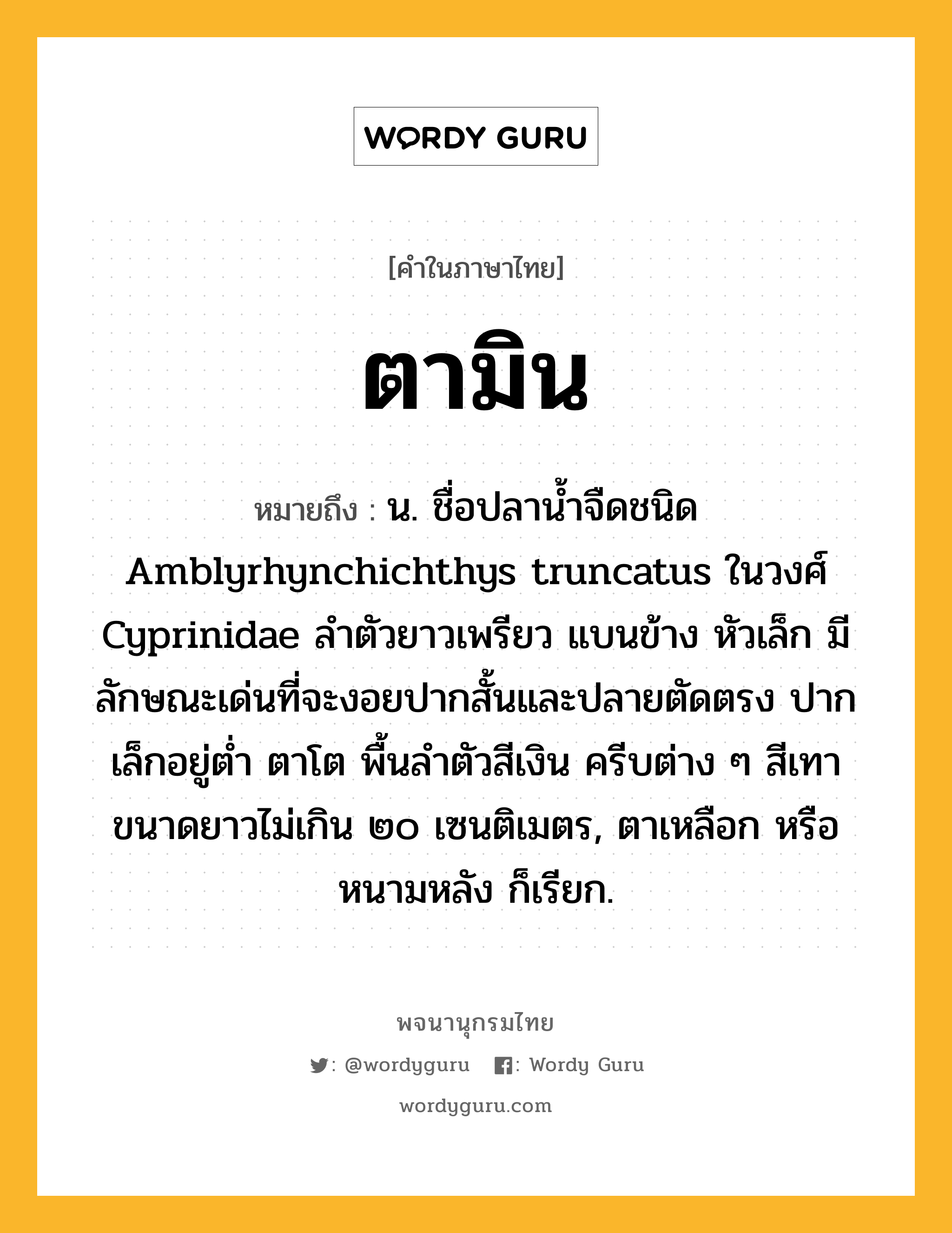 ตามิน หมายถึงอะไร?, คำในภาษาไทย ตามิน หมายถึง น. ชื่อปลานํ้าจืดชนิด Amblyrhynchichthys truncatus ในวงศ์ Cyprinidae ลําตัวยาวเพรียว แบนข้าง หัวเล็ก มีลักษณะเด่นที่จะงอยปากสั้นและปลายตัดตรง ปากเล็กอยู่ตํ่า ตาโต พื้นลําตัวสีเงิน ครีบต่าง ๆ สีเทา ขนาดยาวไม่เกิน ๒๐ เซนติเมตร, ตาเหลือก หรือ หนามหลัง ก็เรียก.