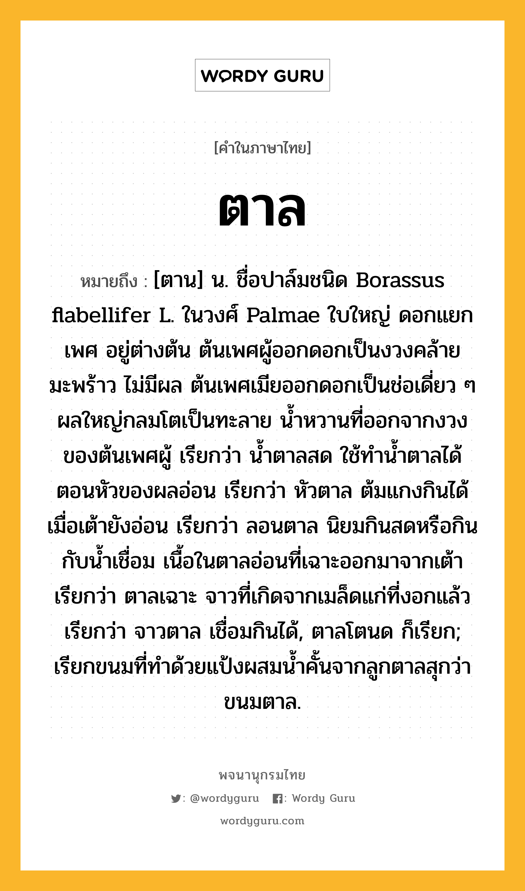 ตาล หมายถึงอะไร?, คำในภาษาไทย ตาล หมายถึง [ตาน] น. ชื่อปาล์มชนิด Borassus flabellifer L. ในวงศ์ Palmae ใบใหญ่ ดอกแยกเพศ อยู่ต่างต้น ต้นเพศผู้ออกดอกเป็นงวงคล้ายมะพร้าว ไม่มีผล ต้นเพศเมียออกดอกเป็นช่อเดี่ยว ๆ ผลใหญ่กลมโตเป็นทะลาย น้ำหวานที่ออกจากงวงของต้นเพศผู้ เรียกว่า น้ำตาลสด ใช้ทำน้ำตาลได้ ตอนหัวของผลอ่อน เรียกว่า หัวตาล ต้มแกงกินได้ เมื่อเต้ายังอ่อน เรียกว่า ลอนตาล นิยมกินสดหรือกินกับนํ้าเชื่อม เนื้อในตาลอ่อนที่เฉาะออกมาจากเต้า เรียกว่า ตาลเฉาะ จาวที่เกิดจากเมล็ดแก่ที่งอกแล้ว เรียกว่า จาวตาล เชื่อมกินได้, ตาลโตนด ก็เรียก; เรียกขนมที่ทําด้วยแป้งผสมนํ้าคั้นจากลูกตาลสุกว่า ขนมตาล.