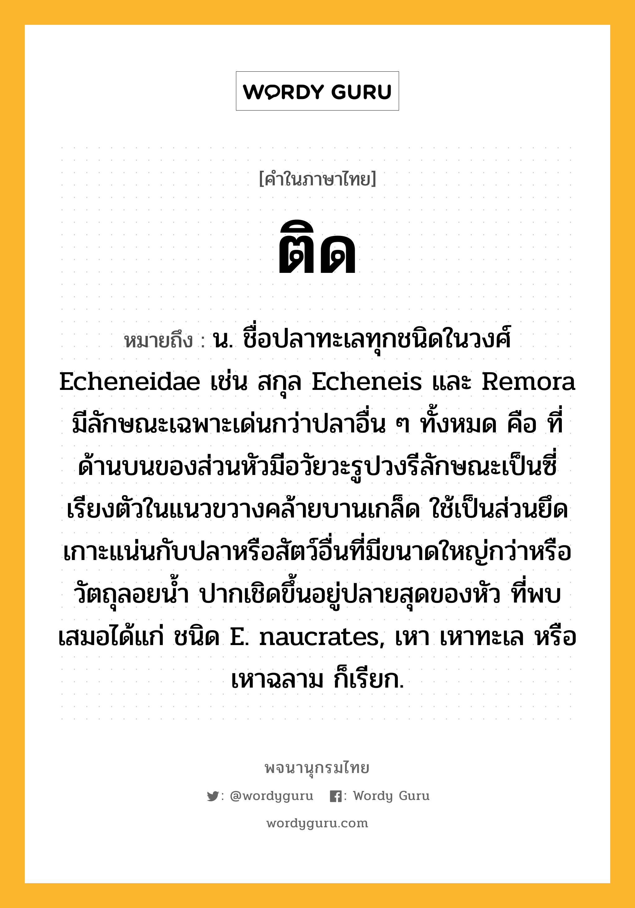 ติด หมายถึงอะไร?, คำในภาษาไทย ติด หมายถึง น. ชื่อปลาทะเลทุกชนิดในวงศ์ Echeneidae เช่น สกุล Echeneis และ Remora มีลักษณะเฉพาะเด่นกว่าปลาอื่น ๆ ทั้งหมด คือ ที่ด้านบนของส่วนหัวมีอวัยวะรูปวงรีลักษณะเป็นซี่เรียงตัวในแนวขวางคล้ายบานเกล็ด ใช้เป็นส่วนยึดเกาะแน่นกับปลาหรือสัตว์อื่นที่มีขนาดใหญ่กว่าหรือวัตถุลอยนํ้า ปากเชิดขึ้นอยู่ปลายสุดของหัว ที่พบเสมอได้แก่ ชนิด E. naucrates, เหา เหาทะเล หรือ เหาฉลาม ก็เรียก.