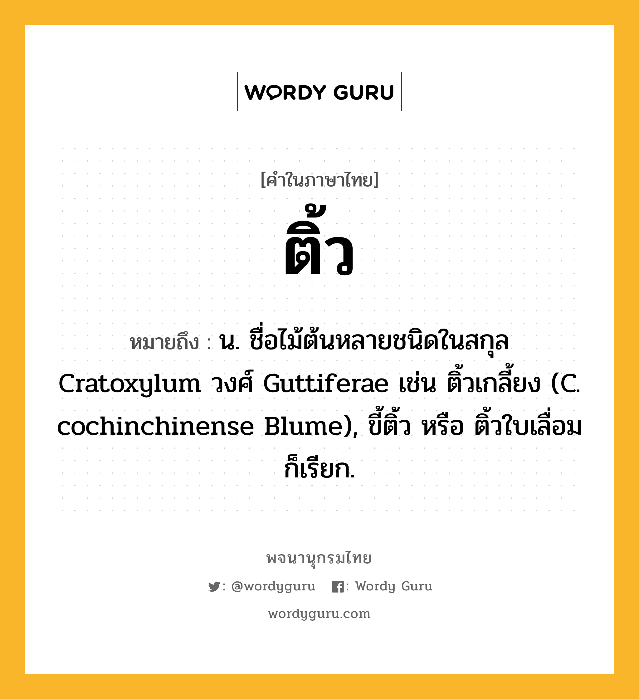 ติ้ว หมายถึงอะไร?, คำในภาษาไทย ติ้ว หมายถึง น. ชื่อไม้ต้นหลายชนิดในสกุล Cratoxylum วงศ์ Guttiferae เช่น ติ้วเกลี้ยง (C. cochinchinense Blume), ขี้ติ้ว หรือ ติ้วใบเลื่อม ก็เรียก.