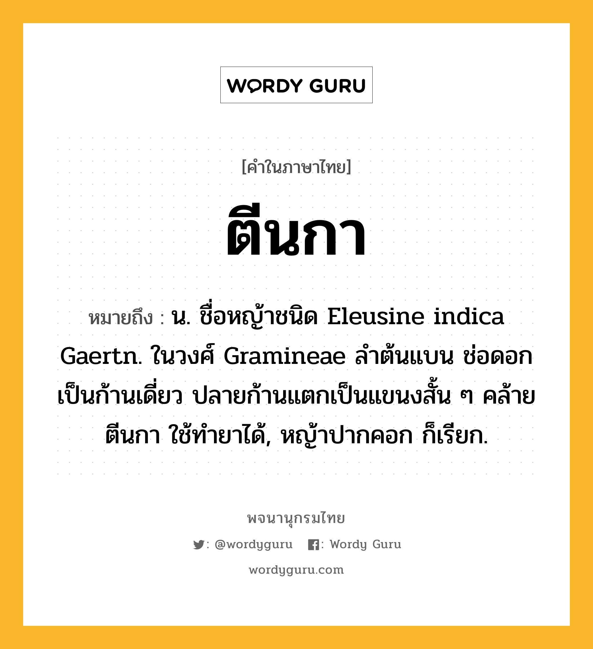 ตีนกา หมายถึงอะไร?, คำในภาษาไทย ตีนกา หมายถึง น. ชื่อหญ้าชนิด Eleusine indica Gaertn. ในวงศ์ Gramineae ลําต้นแบน ช่อดอกเป็นก้านเดี่ยว ปลายก้านแตกเป็นแขนงสั้น ๆ คล้ายตีนกา ใช้ทํายาได้, หญ้าปากคอก ก็เรียก.