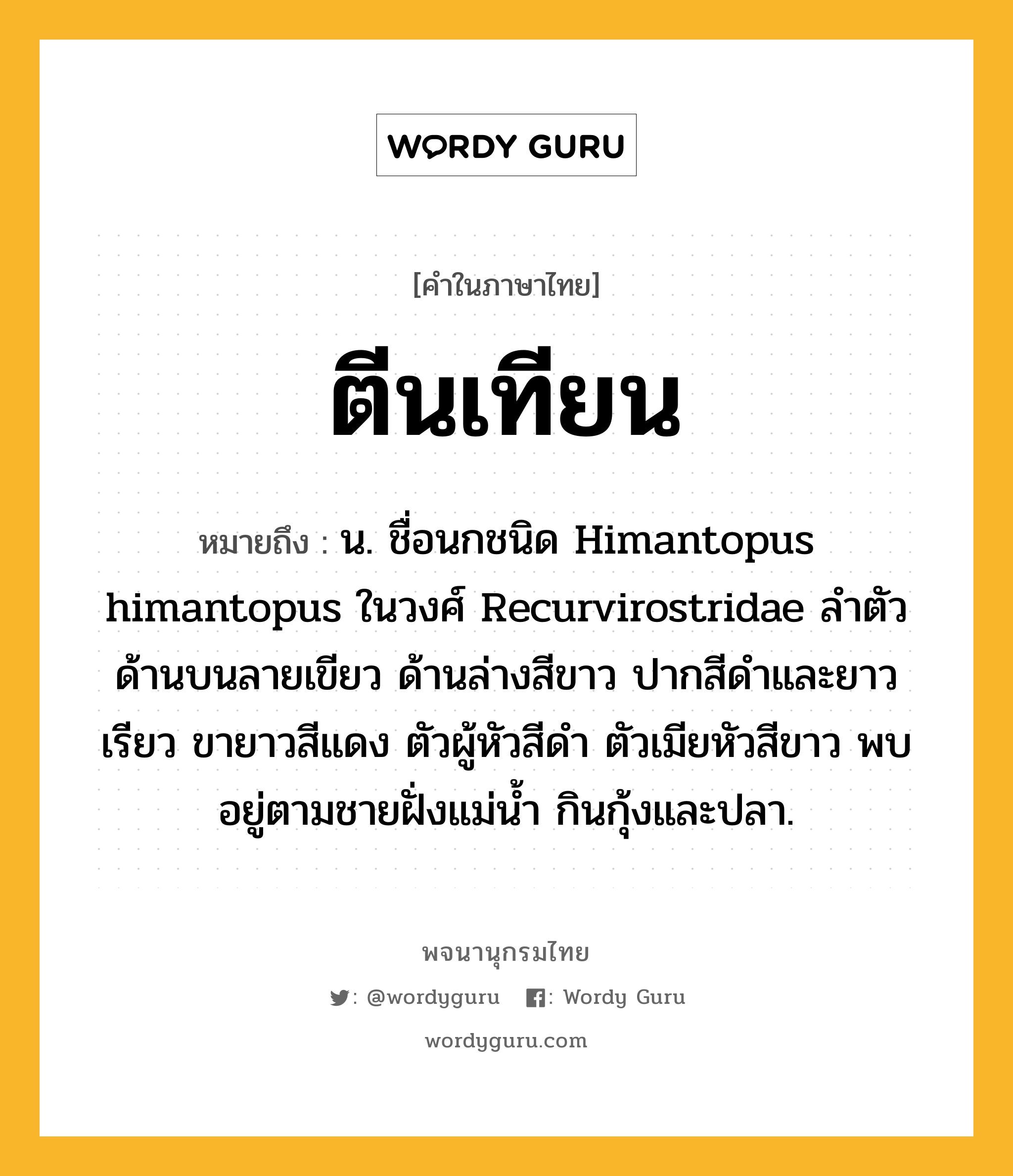 ตีนเทียน หมายถึงอะไร?, คำในภาษาไทย ตีนเทียน หมายถึง น. ชื่อนกชนิด Himantopus himantopus ในวงศ์ Recurvirostridae ลําตัวด้านบนลายเขียว ด้านล่างสีขาว ปากสีดําและยาวเรียว ขายาวสีแดง ตัวผู้หัวสีดํา ตัวเมียหัวสีขาว พบอยู่ตามชายฝั่งแม่นํ้า กินกุ้งและปลา.