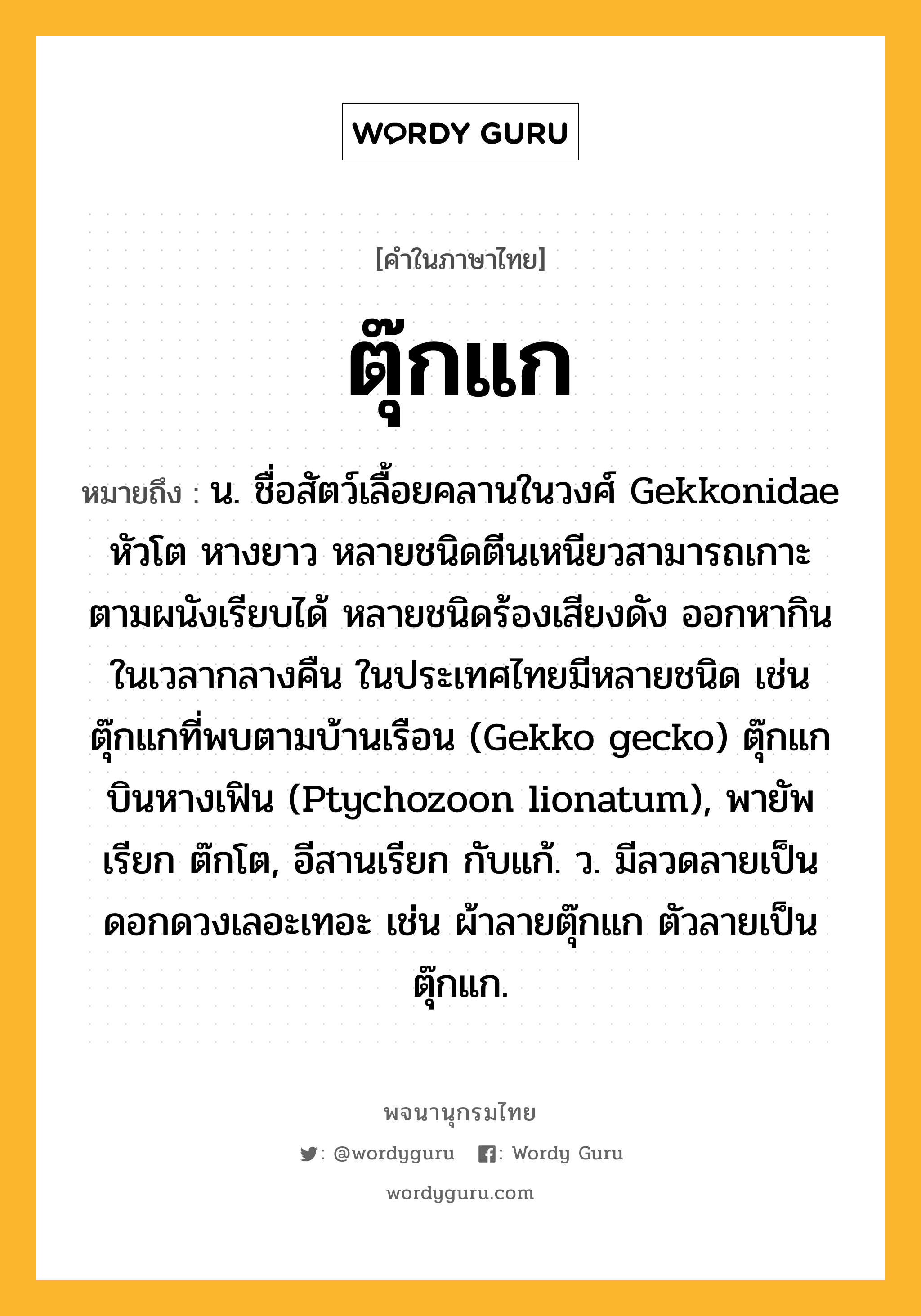 ตุ๊กแก หมายถึงอะไร?, คำในภาษาไทย ตุ๊กแก หมายถึง น. ชื่อสัตว์เลื้อยคลานในวงศ์ Gekkonidae หัวโต หางยาว หลายชนิดตีนเหนียวสามารถเกาะตามผนังเรียบได้ หลายชนิดร้องเสียงดัง ออกหากินในเวลากลางคืน ในประเทศไทยมีหลายชนิด เช่น ตุ๊กแกที่พบตามบ้านเรือน (Gekko gecko) ตุ๊กแกบินหางเฟิน (Ptychozoon lionatum), พายัพเรียก ต๊กโต, อีสานเรียก กับแก้. ว. มีลวดลายเป็นดอกดวงเลอะเทอะ เช่น ผ้าลายตุ๊กแก ตัวลายเป็นตุ๊กแก.