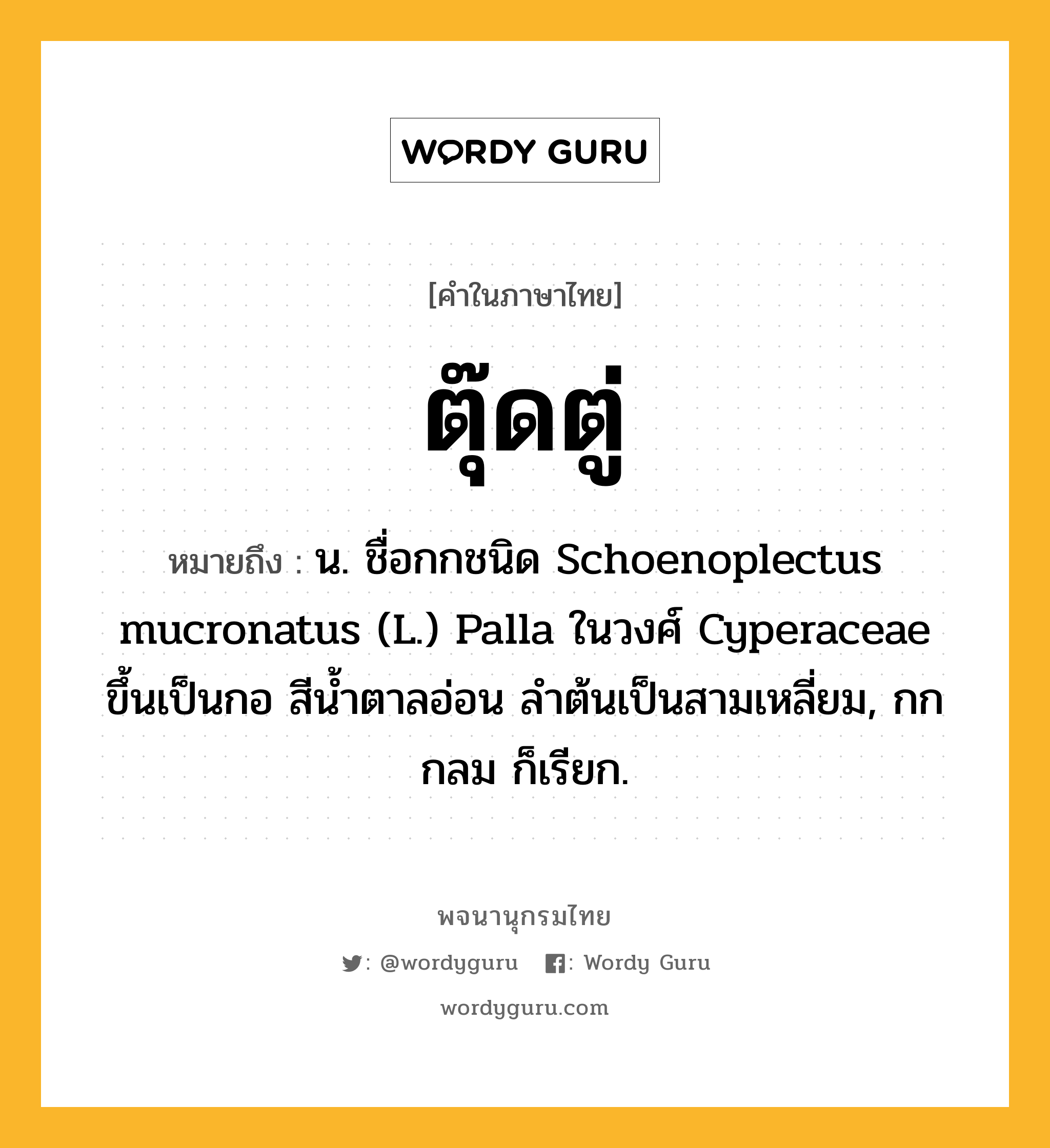 ตุ๊ดตู่ หมายถึงอะไร?, คำในภาษาไทย ตุ๊ดตู่ หมายถึง น. ชื่อกกชนิด Schoenoplectus mucronatus (L.) Palla ในวงศ์ Cyperaceae ขึ้นเป็นกอ สีนํ้าตาลอ่อน ลําต้นเป็นสามเหลี่ยม, กกกลม ก็เรียก.