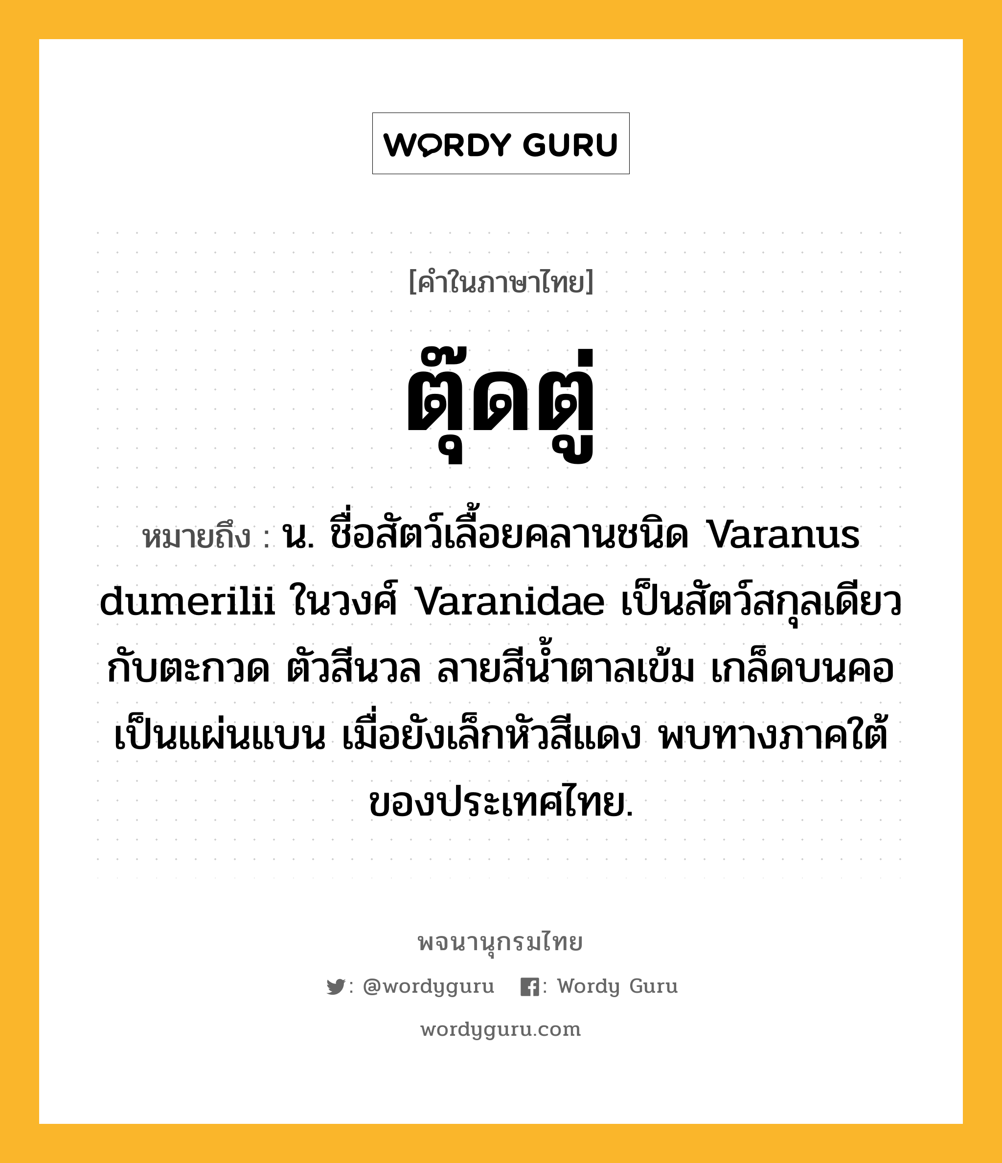 ตุ๊ดตู่ หมายถึงอะไร?, คำในภาษาไทย ตุ๊ดตู่ หมายถึง น. ชื่อสัตว์เลื้อยคลานชนิด Varanus dumerilii ในวงศ์ Varanidae เป็นสัตว์สกุลเดียวกับตะกวด ตัวสีนวล ลายสีน้ำตาลเข้ม เกล็ดบนคอเป็นแผ่นแบน เมื่อยังเล็กหัวสีแดง พบทางภาคใต้ของประเทศไทย.