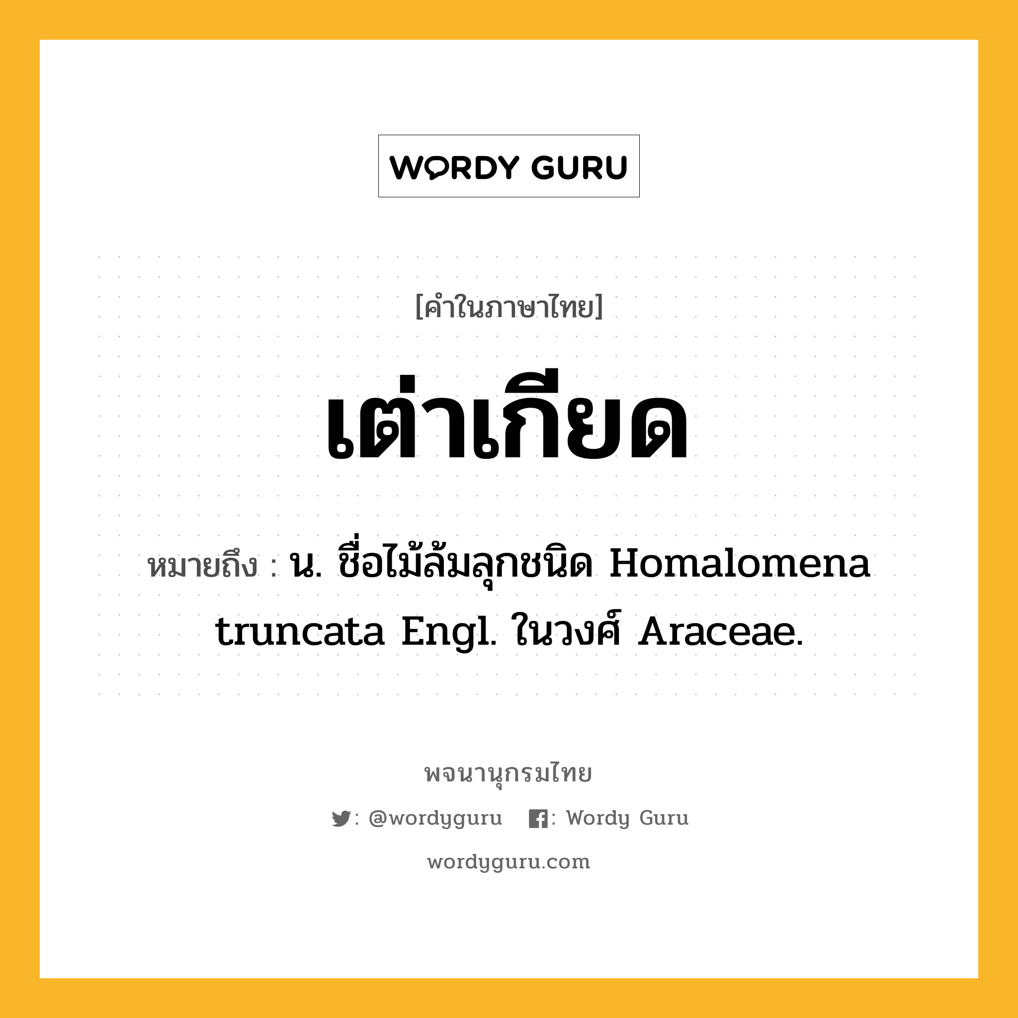 เต่าเกียด ความหมาย หมายถึงอะไร?, คำในภาษาไทย เต่าเกียด หมายถึง น. ชื่อไม้ล้มลุกชนิด Homalomena truncata Engl. ในวงศ์ Araceae.