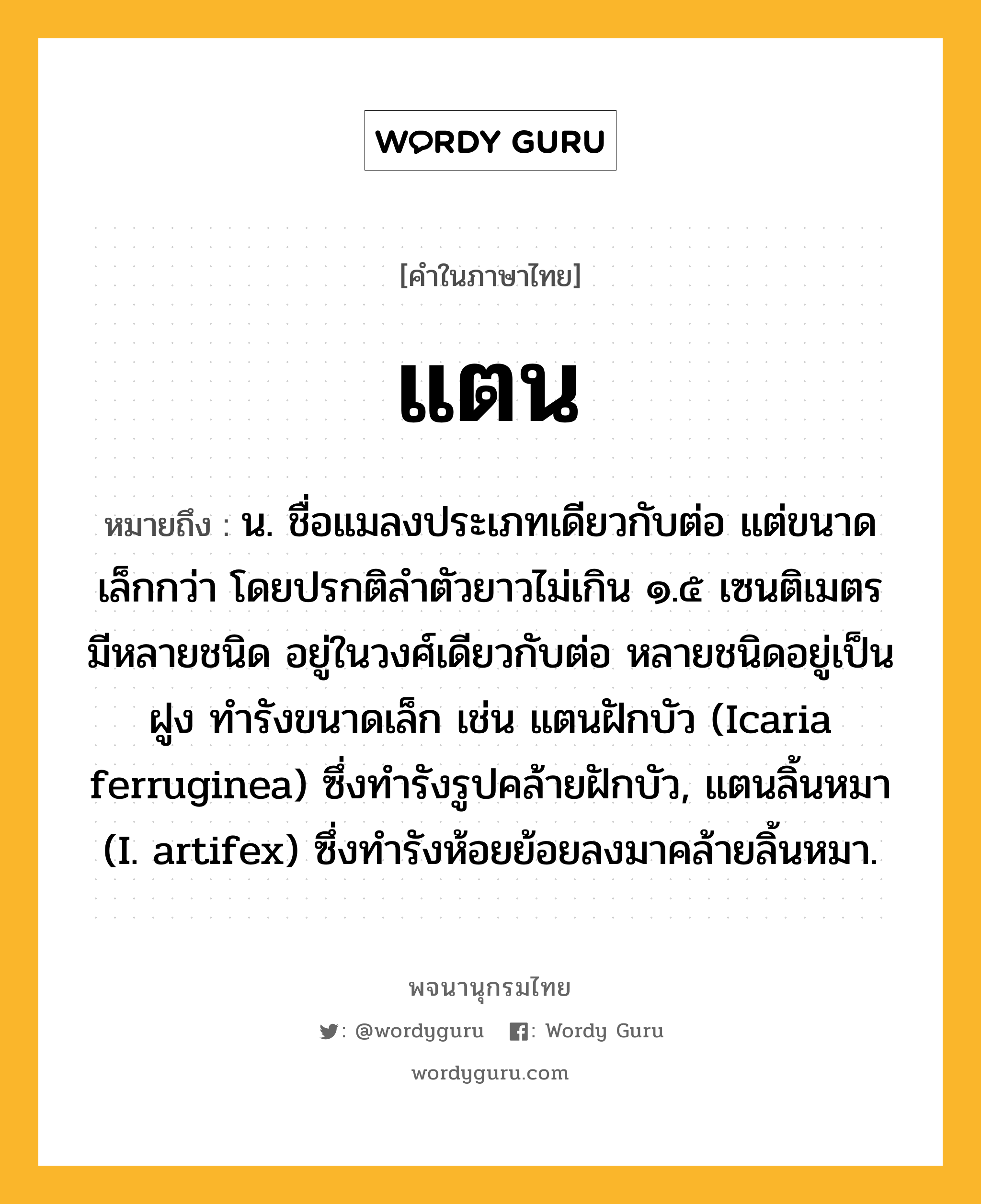 แตน หมายถึงอะไร?, คำในภาษาไทย แตน หมายถึง น. ชื่อแมลงประเภทเดียวกับต่อ แต่ขนาดเล็กกว่า โดยปรกติลําตัวยาวไม่เกิน ๑.๕ เซนติเมตร มีหลายชนิด อยู่ในวงศ์เดียวกับต่อ หลายชนิดอยู่เป็นฝูง ทํารังขนาดเล็ก เช่น แตนฝักบัว (Icaria ferruginea) ซึ่งทํารังรูปคล้ายฝักบัว, แตนลิ้นหมา (I. artifex) ซึ่งทํารังห้อยย้อยลงมาคล้ายลิ้นหมา.