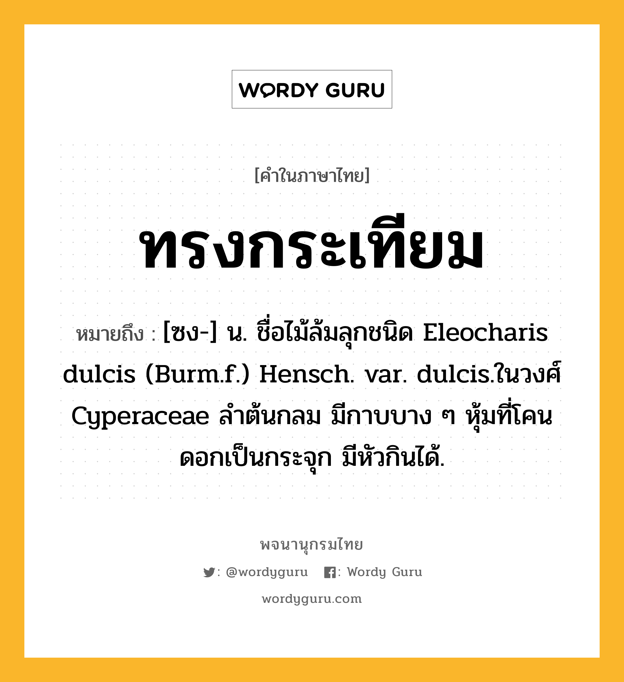 ทรงกระเทียม หมายถึงอะไร?, คำในภาษาไทย ทรงกระเทียม หมายถึง [ซง-] น. ชื่อไม้ล้มลุกชนิด Eleocharis dulcis (Burm.f.) Hensch. var. dulcis.ในวงศ์ Cyperaceae ลําต้นกลม มีกาบบาง ๆ หุ้มที่โคน ดอกเป็นกระจุก มีหัวกินได้.