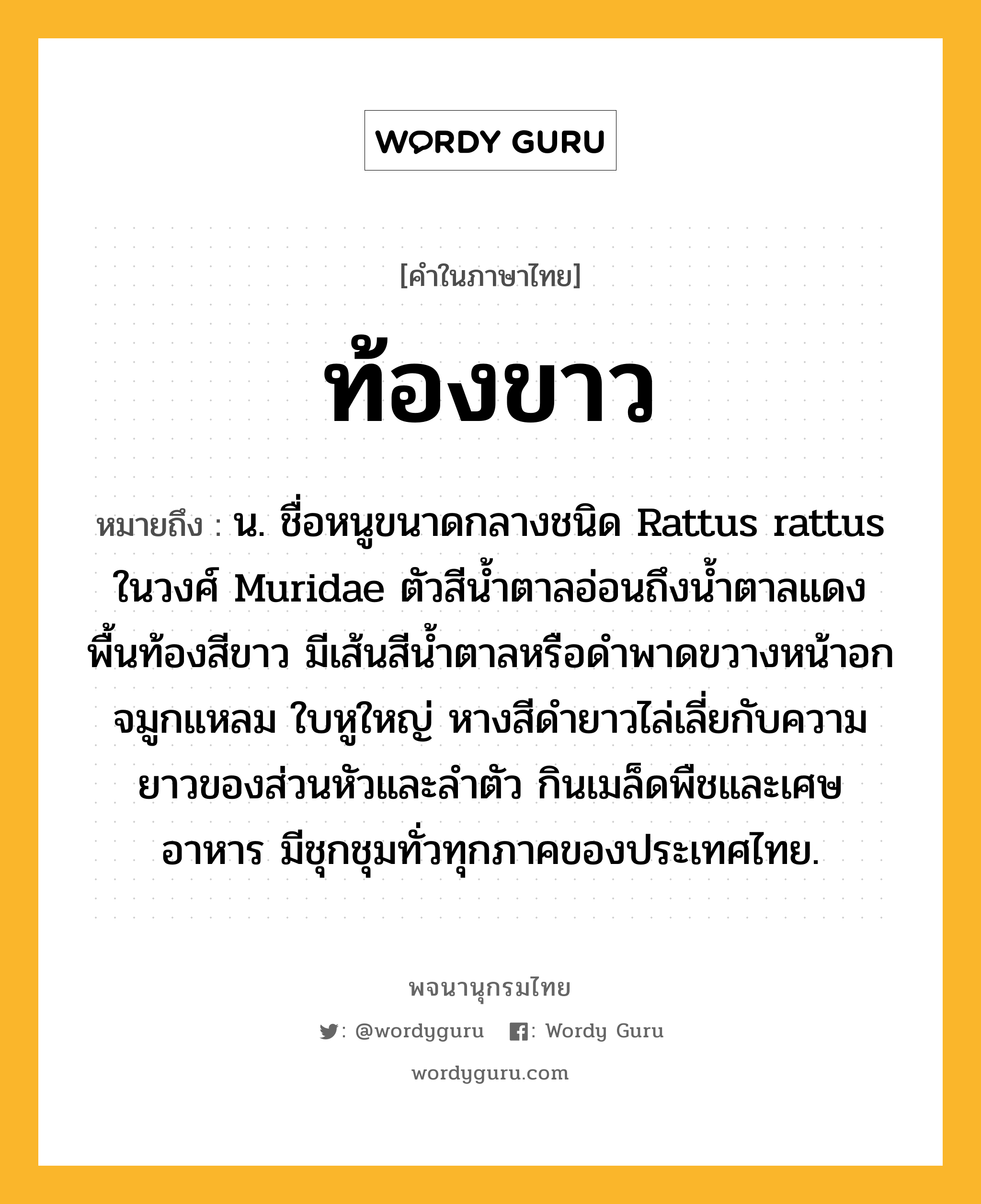 ท้องขาว หมายถึงอะไร?, คำในภาษาไทย ท้องขาว หมายถึง น. ชื่อหนูขนาดกลางชนิด Rattus rattus ในวงศ์ Muridae ตัวสีนํ้าตาลอ่อนถึงนํ้าตาลแดง พื้นท้องสีขาว มีเส้นสีนํ้าตาลหรือดําพาดขวางหน้าอก จมูกแหลม ใบหูใหญ่ หางสีดํายาวไล่เลี่ยกับความยาวของส่วนหัวและลําตัว กินเมล็ดพืชและเศษอาหาร มีชุกชุมทั่วทุกภาคของประเทศไทย.