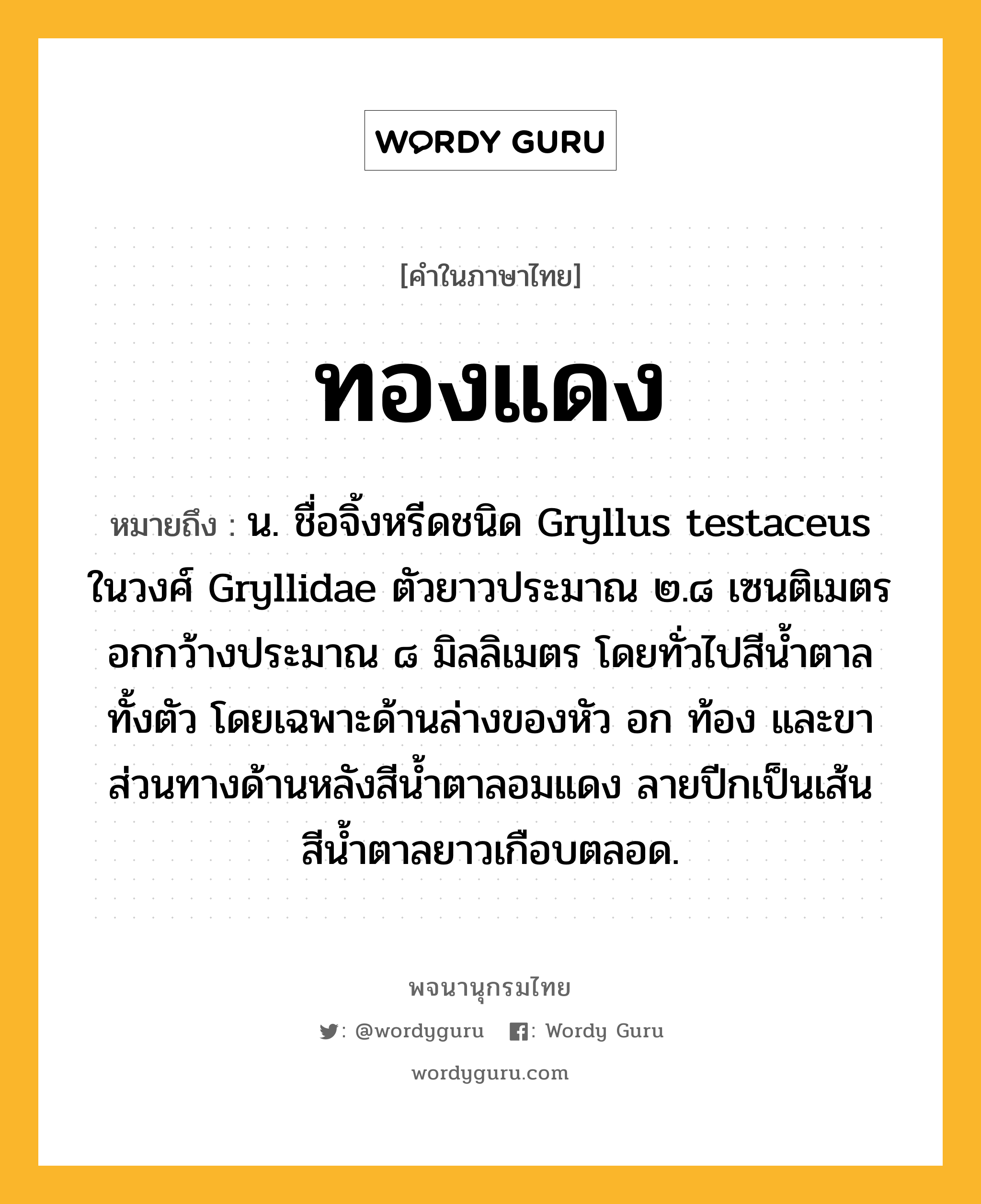 ทองแดง หมายถึงอะไร?, คำในภาษาไทย ทองแดง หมายถึง น. ชื่อจิ้งหรีดชนิด Gryllus testaceus ในวงศ์ Gryllidae ตัวยาวประมาณ ๒.๘ เซนติเมตร อกกว้างประมาณ ๘ มิลลิเมตร โดยทั่วไปสีนํ้าตาลทั้งตัว โดยเฉพาะด้านล่างของหัว อก ท้อง และขา ส่วนทางด้านหลังสีนํ้าตาลอมแดง ลายปีกเป็นเส้นสีนํ้าตาลยาวเกือบตลอด.